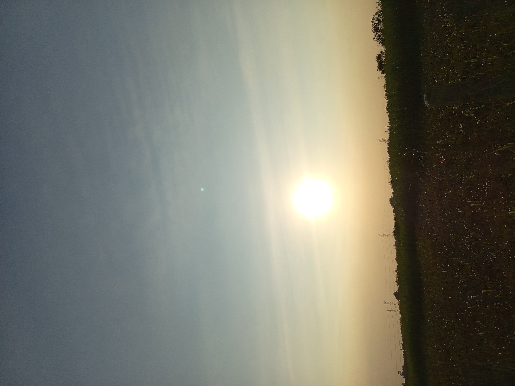 This image depicts a rural landscape in Kepuh Kemiri, Indonesia, during what appears to be late afternoon or early evening. The foreground is dominated by a dark, shadowed field of low-lying vegetation, possibly crops or grass, with some hints of texture and individual plants visible. A weathered, light-colored concrete post stands partially obscured within this field towards the right side of the frame.
Beyond the field, a distinct line of dense green foliage, likely trees or shrubs, forms a natural horizon. Rising above this vegetation on the horizon are several tall, lattice-like structures, consistent with electricity pylons, with power lines stretching between them. These structures suggest the presence of infrastructure within the rural setting.
The sky occupies the majority of the upper frame. The sun is a bright, circular orb positioned in the lower-middle section of the sky, casting a warm, golden-yellow light that diffuses into a pale yellow and then a light blue hue towards the top of the image. Wispy, horizontal cloud formations are faintly visible across the sky, catching the sunlight and contributing to the atmospheric glow. A small, faint circular object, possibly a lens flare or a distant celestial body, is visible in the upper portion of the sky, slightly to the left of the sun. The overall impression is one of a serene, natural environment with signs of human intervention.
