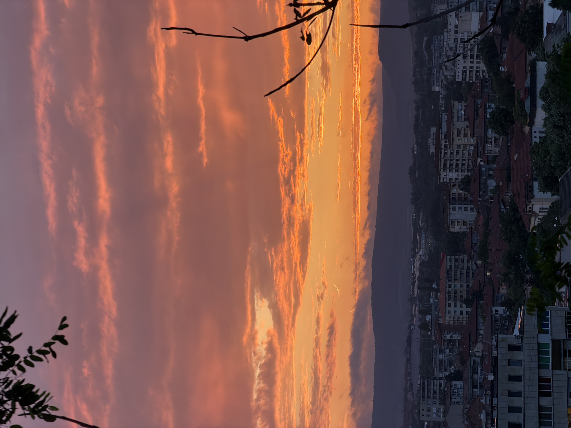 This is an outdoor, high-angle, vertical shot depicting a cityscape at sunset or sunrise, viewed from an elevated position. The sky occupies the upper two-thirds of the image, showcasing a gradient of colors from deep purple and crimson at the top to vibrant orange and yellow near the horizon. Numerous clouds are present, illuminated by the low sun, forming horizontal bands and scattered patches.
In the extreme foreground, dark, silhouetted tree branches and foliage are visible, partially framing the upper left and right sides of the image. The branches on the right are starkly bare, while those on the left display leaves.
Below the sky, a prominent dark silhouette of a mountainous or hilly landscape stretches across the mid-horizon. Below this natural barrier lies the city of Lovech, Bulgaria, characterized by a dense arrangement of buildings. The structures primarily consist of multi-story residential blocks with flat or gently sloped roofs, many of which are tiled in reddish-brown hues. Smaller, older houses are interspersed among the larger buildings. Greenery from trees and bushes is visible throughout the urban fabric. No individuals are discernible within the frame. The overall light suggests either early morning or late evening.