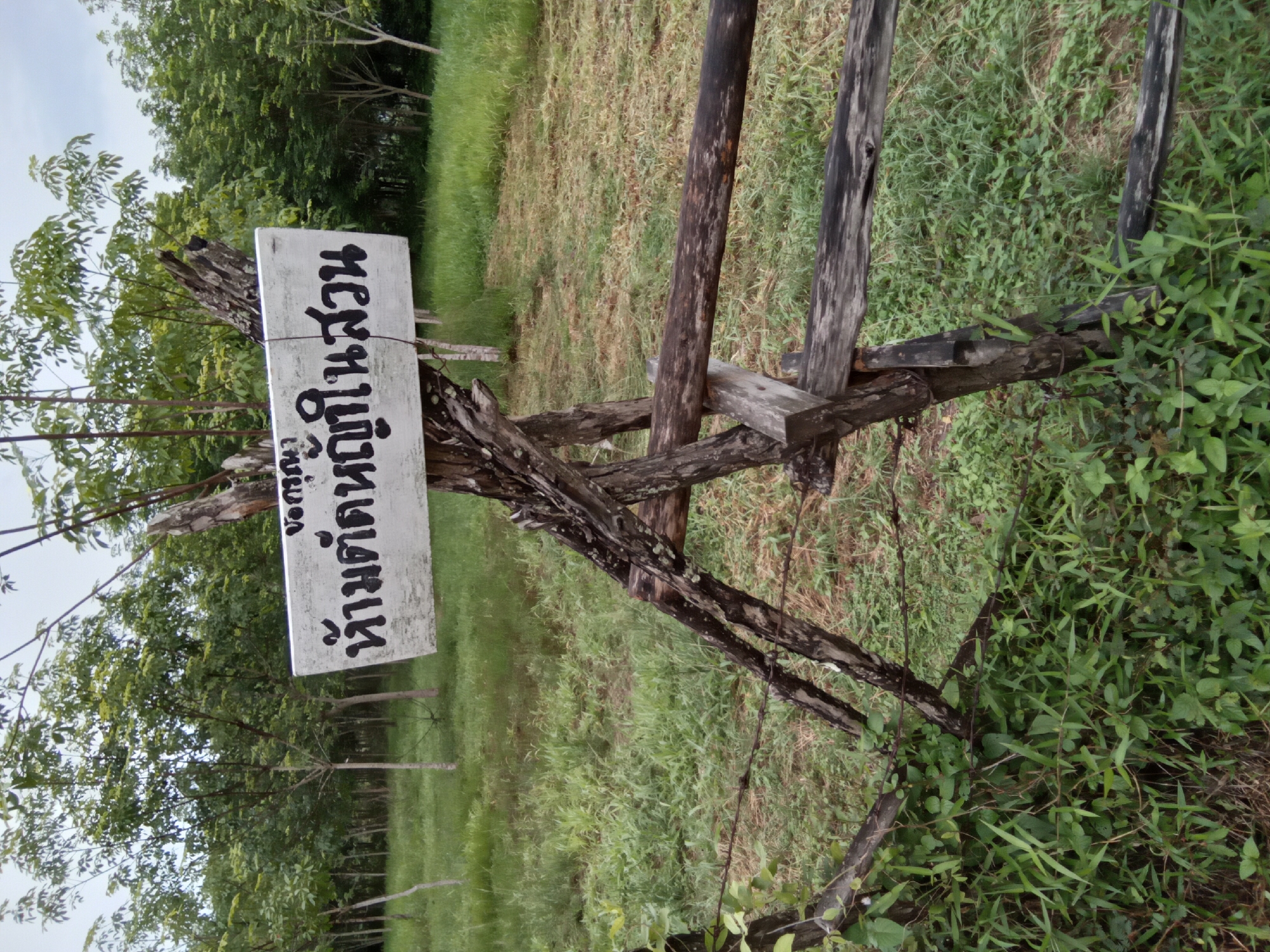 This image depicts a rural outdoor scene, likely in Ko Siboya, Thailand, characterized by lush vegetation and a rustic wooden sign. The central subject is a rectangular white wooden sign, prominently displayed on a structure made of weathered, dark wooden posts and cross-beams.
The sign bears black Thai script, which reads "ห้ามทิ้งขยะในบริเวณนี้" (Haam ting kha-ya nai bo-ri-wen ni), translating to "Do not litter in this area." A smaller, partially obscured word is visible below the main text. The wooden posts and beams supporting the sign form part of a rough fence or barrier, with some wire also visible, separating a dense growth of green foliage and weeds in the immediate foreground from a larger grassy expanse beyond.
In the background, numerous trees with vibrant green leaves stretch across the frame, suggesting a forested area or a cultivated grove. The ground cover is a mix of greener, shorter grass and patches of longer, drier, yellowish-brown grass and weeds. The sky is a soft, light grey, indicating an overcast day or diffuse lighting without strong shadows. No people or animals are present, and no specific activity is taking place, contributing to a peaceful, natural ambiance with a clear environmental directive.