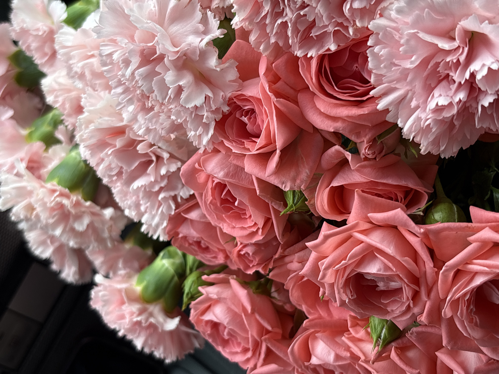 This is a close-up, overhead, eye-level shot of a bouquet of pink carnations and pink roses. The flowers are densely packed together, with many layers of petals visible. The lighting is soft and diffused, creating a gentle glow on the flowers. The background is dark and out of focus, which further emphasizes the flowers. There are no people, actions, or interactions depicted in the image. The image does not contain any information about the city of Saint Petersburg, Russia.
