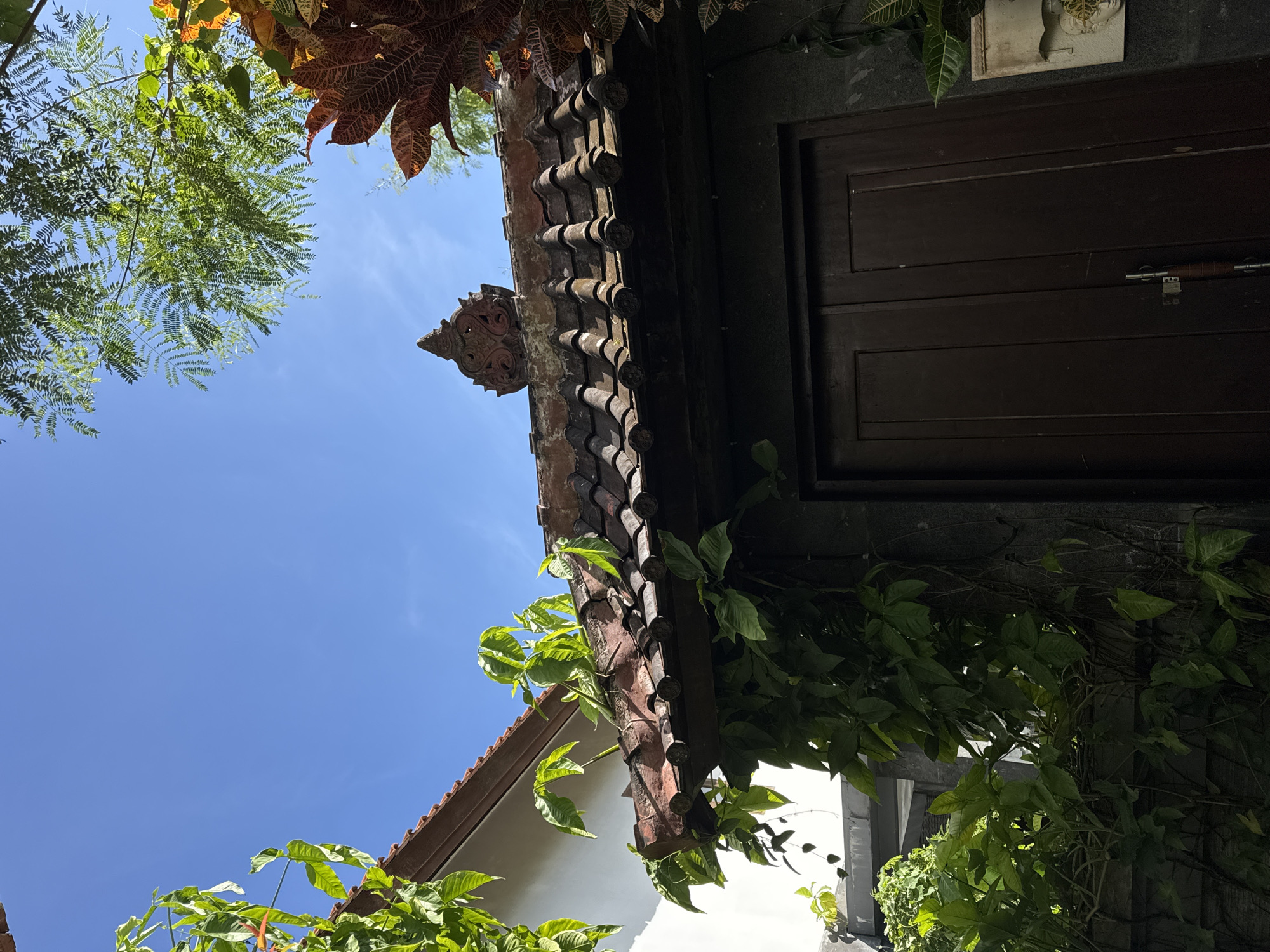 The image shows an upward view of a building exterior in Ungasan, Indonesia. The scene is framed by a clear blue sky. The building features a dark wooden door on the right and a traditional tiled roof with decorative elements. Lush green foliage and colorful plants are visible around the roof and walls. The architecture has a distinct Balinese style, characterized by the intricate carvings and earthy tones. The scene is bathed in sunlight, suggesting a daytime setting.