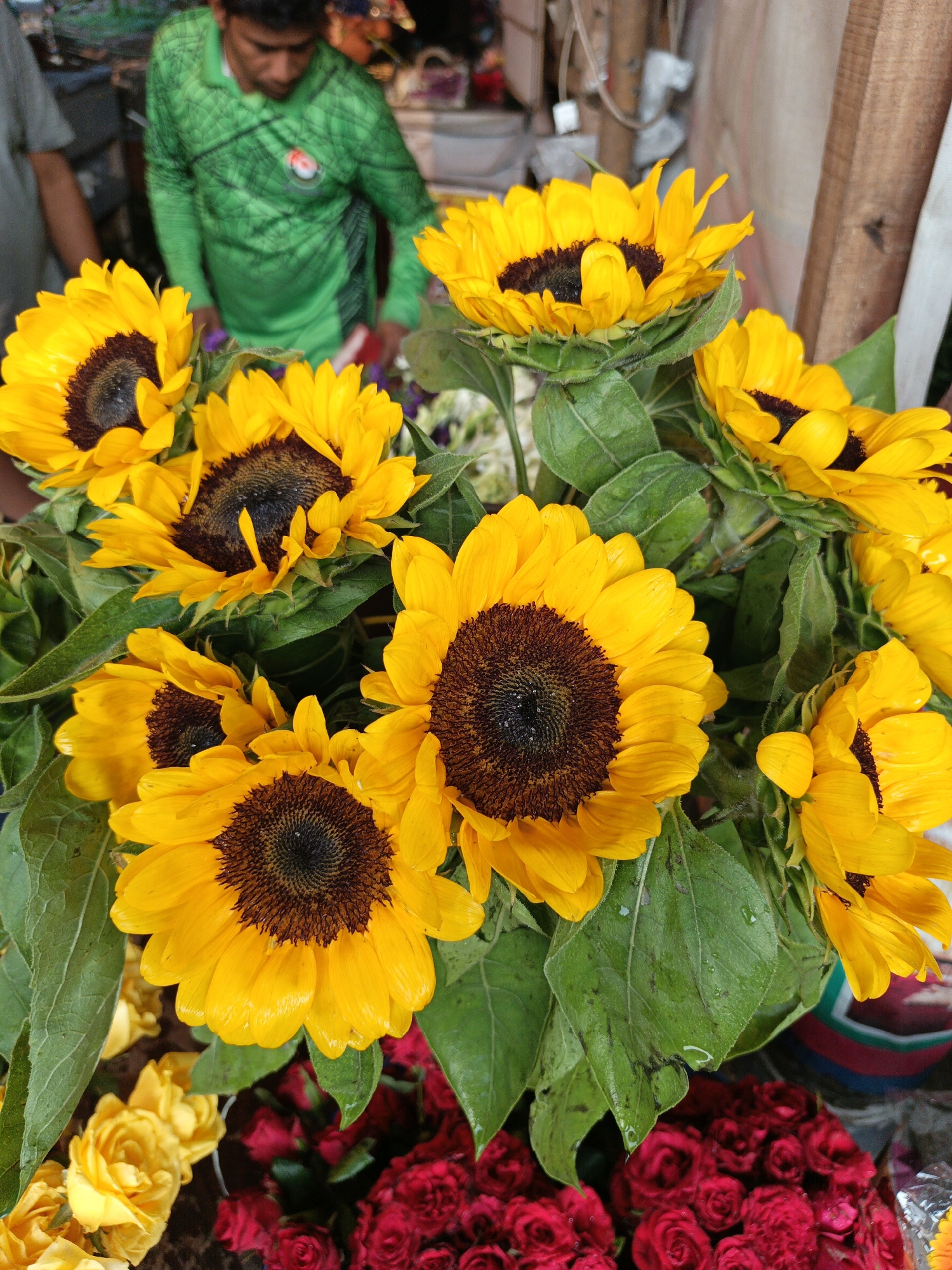 A high-angle, eye-level indoor shot depicts a bouquet of sunflowers, yellow and red roses, and a person. The sunflowers are in full bloom with vibrant yellow petals and dark brown centers, and some have water droplets on them. Lush green leaves fill the space between the flowers. Below the sunflowers are bundles of yellow and red roses. In the background, a person is wearing a green long-sleeved shirt with a geometric pattern and an emblem on the chest. The person is partially visible and appears to be interacting with the flowers. Wooden planks are visible to the right, indicating a possible stall or shop setting. A city location is Dhaka, Bangladesh.