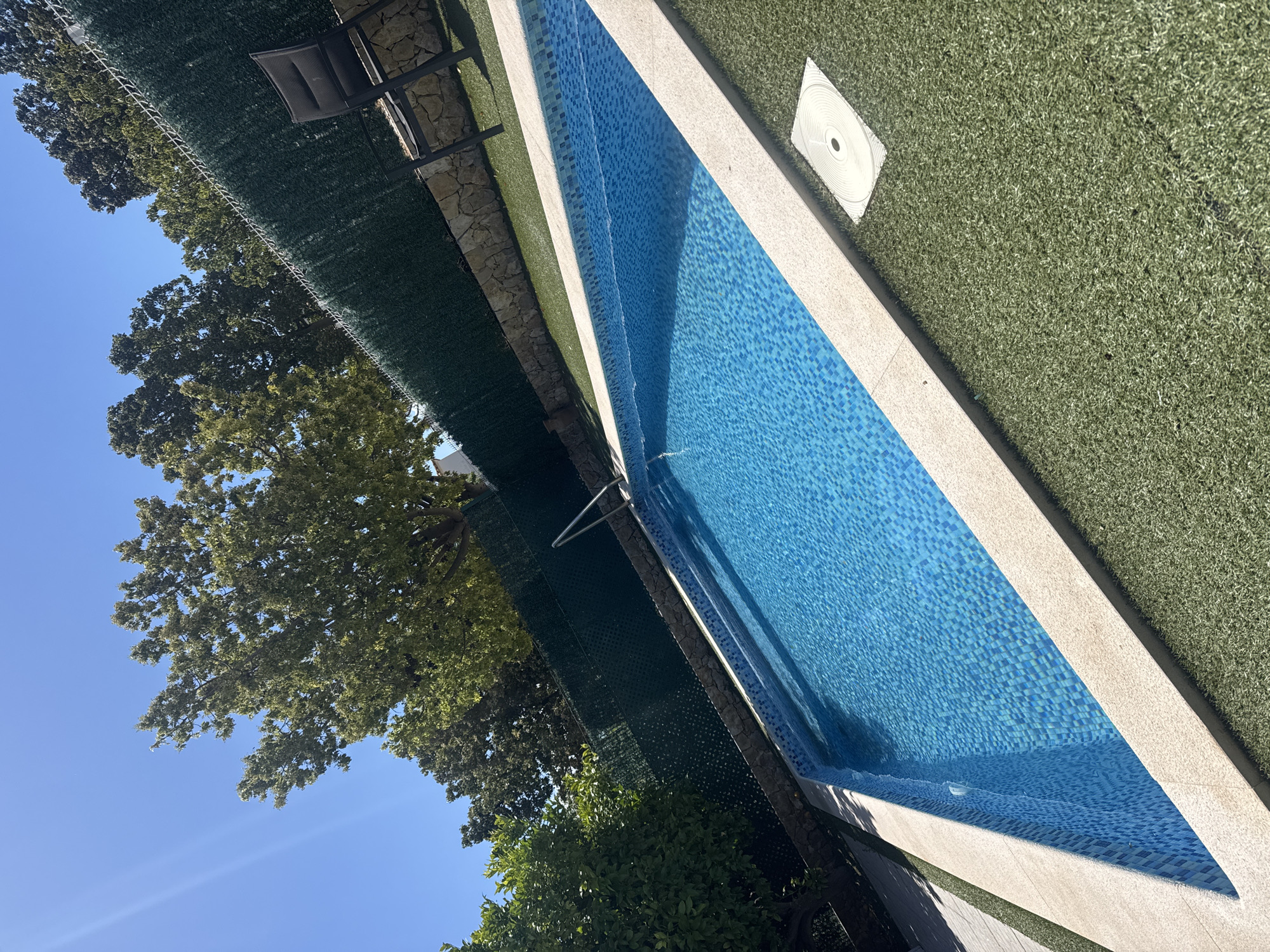Here is a description of the image:
The image shows a swimming pool with blue tiles and a light-colored border. The pool is surrounded by green artificial turf on one side and a green privacy screen on the other. Behind the privacy screen are trees. The sky is visible in the upper left corner, suggesting it is daytime. A pool ladder is visible in the pool. A white, circular object is located on the artificial turf next to the pool. A chair is also visible by the side of the pool.