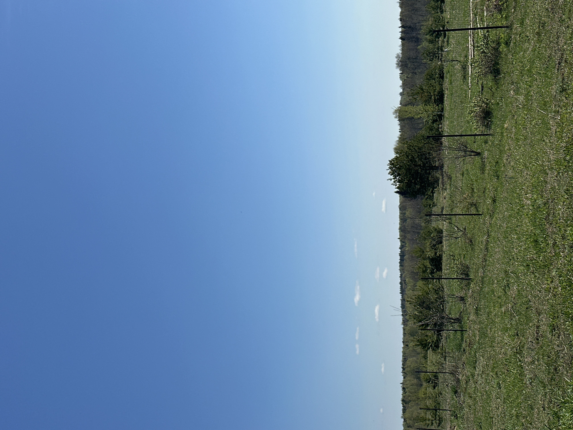 A low-angle landscape photograph depicting a clear blue sky taking up the majority of the left side of the frame, contrasted with a strip of grassland and trees on the right. The landscape includes an apparent fence, running through the area. The location of Kharnavy, Russia, is not directly discernible from the image.