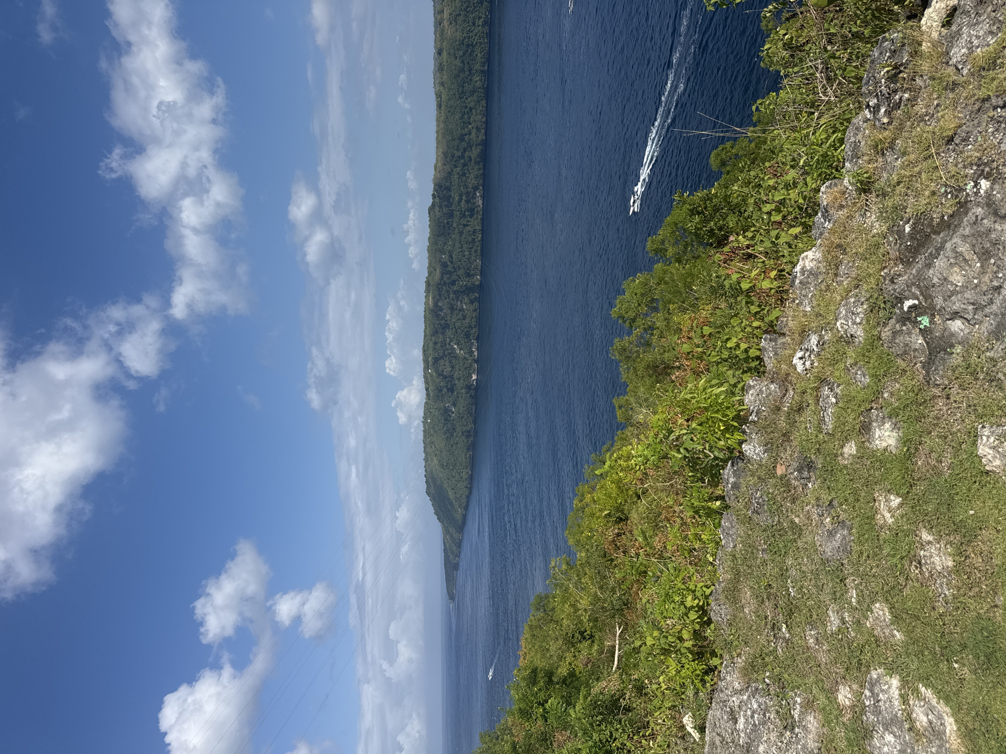 This image captures a scenic view of a body of water, likely a bay or strait, flanked by lush green hills and a rocky, grassy foreground. The water is a deep blue, with white wakes trailing behind at least two motorboats. The sky above is a bright blue, dotted with fluffy white clouds. In the distance, a long, tree-covered peninsula stretches out, with hints of structures visible amongst the foliage. The foreground consists of rough, grey rocks covered with patches of dry and green grass, and dense, vibrant green bushes and trees that partially obscure the view of the water. Overhead power lines stretch across the sky in the upper left quadrant of the image. This location is likely the Thousand Islands Viewpoint (Pulau Seribu) in Nusa Penida, Indonesia, a popular spot offering panoramic views of the island's dramatic coastline and the surrounding ocean.