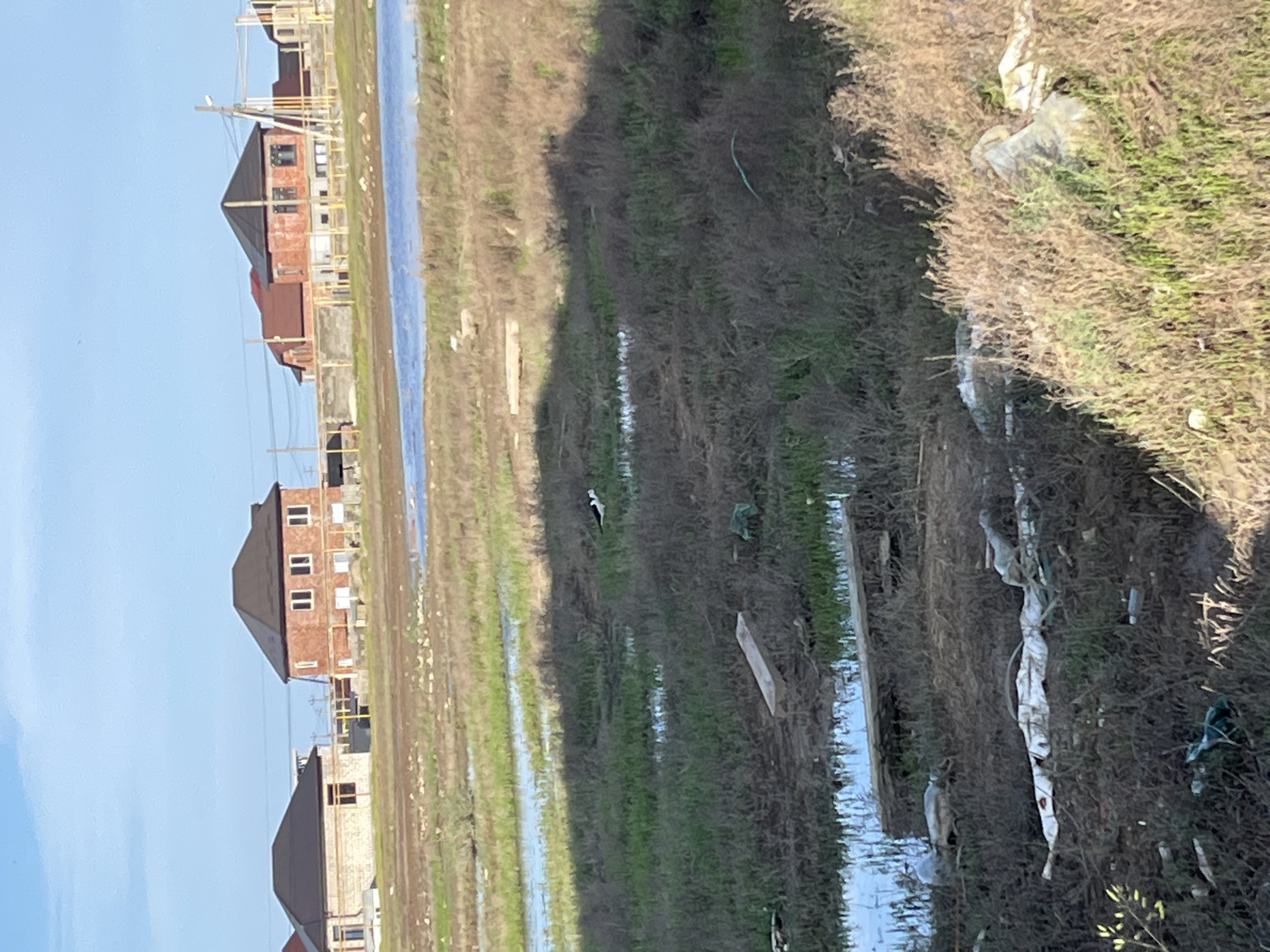 The scene depicts a flooded, undeveloped area near residential buildings in Kaspiysk, Russia. The water level is high, submerging much of the ground. In the background are several two-story and three-story brick houses, some under construction, with scaffolding visible. The foreground shows water-logged vegetation and debris. Scattered trash is noticeable along the ground including plastic bags, bottles, and pieces of wood. A small black and white bird is present in the image. The sky is light blue, suggesting daylight.