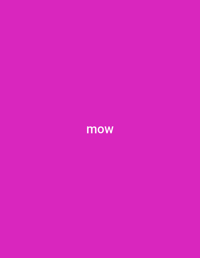 The scene, situated in the city of Casablanca, Morocco, is an abstract visual composition featuring a uniform magenta background. The white, sans-serif word "mow" is centrally positioned on this vibrant field. No other subjects, objects, people, actions, or interactions are present.