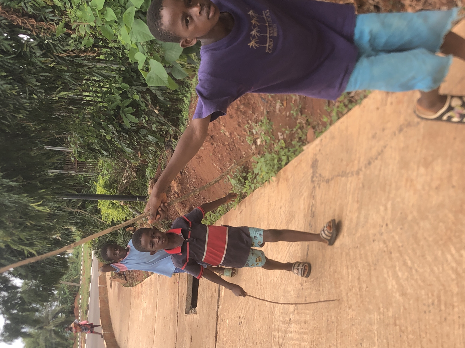 Three young boys are captured outdoors on a paved surface, surrounded by lush green foliage and reddish-brown soil. The image is rotated 90 degrees clockwise.
In the upper part of the frame, a boy in a purple t-shirt and light blue shorts looks directly at the camera. He holds a long, thin wooden stick with his right hand. His purple shirt features text and graphics, including "CABO SAN LUCAS" and "MEXICO" along with palm tree designs. He wears sandals with a floral pattern.
Further down and to the left, another boy in a red and blue striped polo shirt and patterned shorts is also looking towards the camera. He holds the same stick that the first boy is holding, suggesting a shared activity or game. He wears black and white striped sandals.
Towards the bottom left, a third boy in a light blue t-shirt and light-colored shorts stands further back on the paved path, partially obscured by the stick.
The background consists of dense green trees and bushes, and patches of reddish-brown earth are visible. The lighting appears soft and diffuse, indicating it is daytime, possibly overcast or shaded. The scene depicts an outdoor setting, likely a path or road in a rural or suburban area.