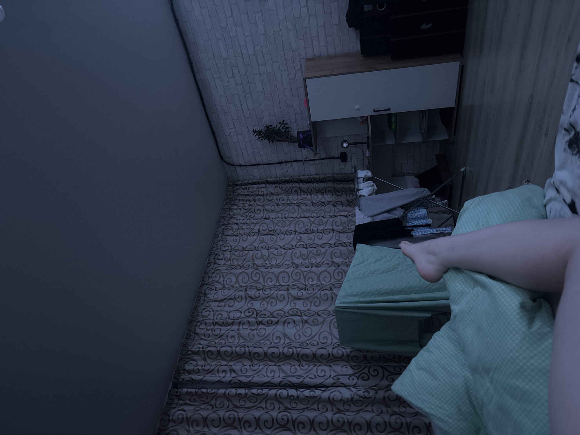 A top-down view reveals a dimly lit interior scene, presumably a room within a residence. The color palette is dominated by muted blues, grays, and greens. On the right side, a bed is partially visible, covered in a green checkered sheet, with a person resting on it. Their bare leg and foot are visible. A patterned rug covers the floor. Against the back wall, a white cabinet with a wooden top is mounted. A small potted plant sits near the cabinet. The back wall appears to be made of brick. In the foreground on the left, there is a plain, dark wall. The scene is most likely set indoors and has a quiet and subdued feel. Chaikovsky, Russia, is specified as the location.