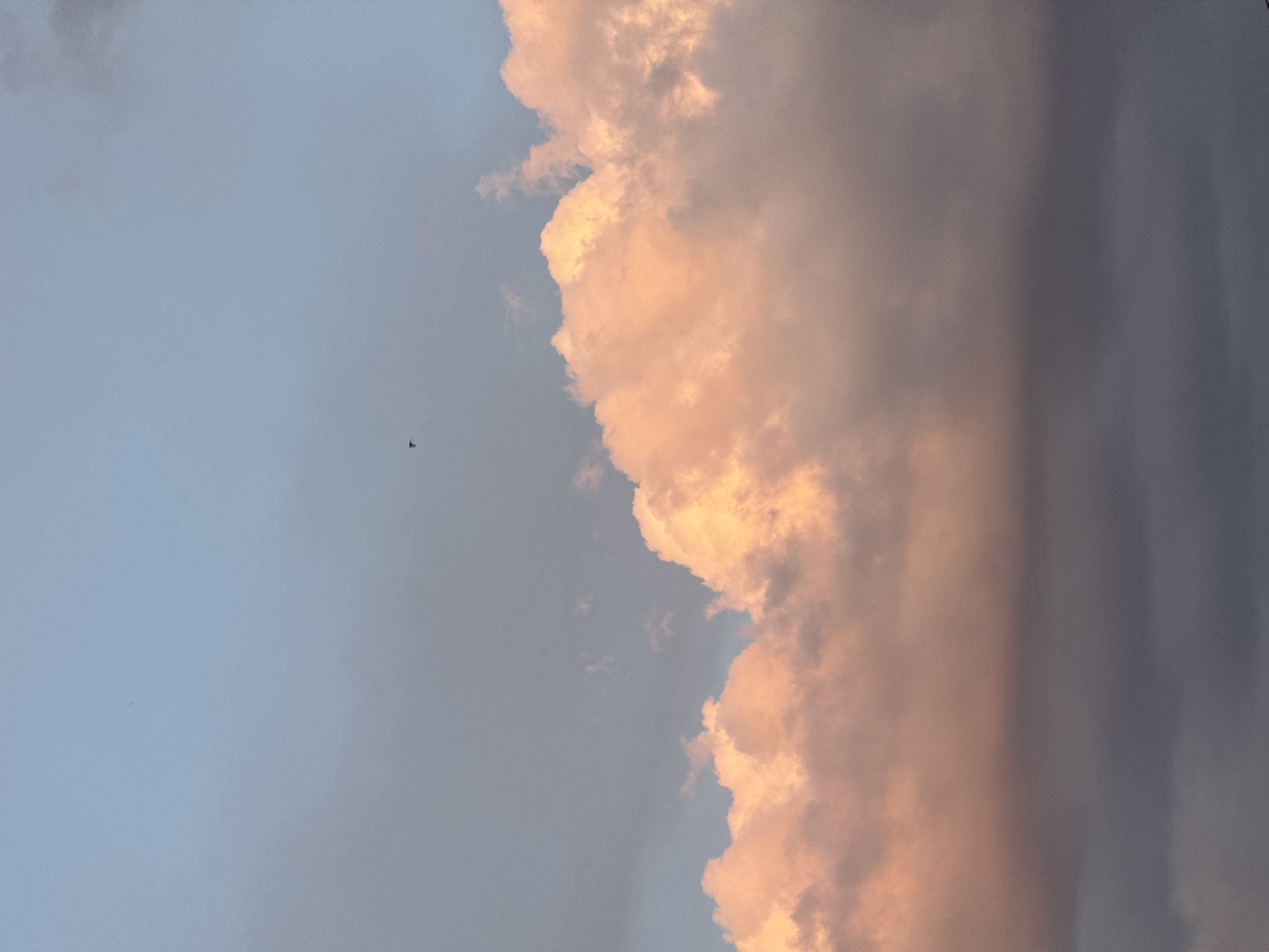 A low-angle shot captures a sliver of sky above Mikhaylovsk, Russia, dominated by dramatic clouds. The top of the frame shows a pale blue sky transitioning to soft gray near the horizon. A line of large, puffy clouds, illuminated by the setting sun, glows with shades of peach and pink, creating a striking contrast against the darker gray clouds below. A tiny, dark silhouette of what appears to be a bird is visible in the upper portion of the frame, adding a sense of scale and movement to the otherwise still sky. The lower part of the image is filled with the muted tones of these darker clouds.