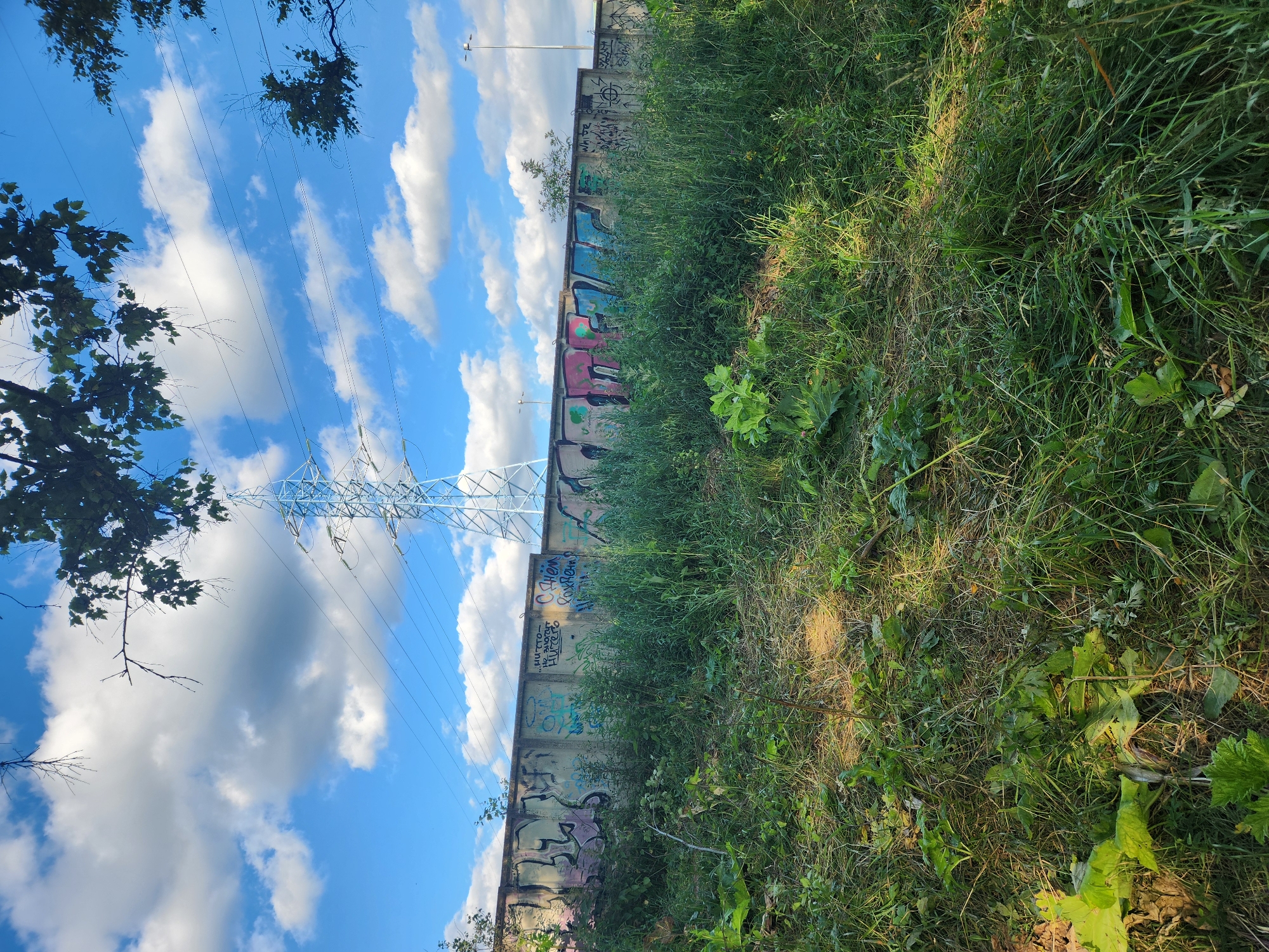 This is a vertical, eye-level, outdoor, daytime photograph taken in Yudino, Russia. The scene features a concrete barrier wall covered in graffiti, juxtaposed with a lush green field of grass and vegetation on the right. Behind the wall, a large metal electricity pylon with wires is visible against a bright blue sky filled with fluffy white clouds.
The graffiti on the wall is colorful and varied, with some tags and larger designs in pink, blue, green, and black. The grass in the field is tall and unkempt, with some areas catching the sunlight. The electricity pylon is a prominent object, suggesting the proximity of power infrastructure to this natural and urban boundary.
The time of day appears to be late morning or early afternoon, given the bright sunlight illuminating the grass and the clear blue sky. The weather seems pleasant and sunny. The overall atmosphere is one of urban encroachment on a natural space, with the graffiti and pylon indicating human presence and activity. There are no people visible in the image. There are no discernible emotions conveyed.
Visible text on the wall includes what appears to be Cyrillic script, though it is difficult to read clearly in the image. Some phrases that can be partially deciphered include "С чем," "роща," and "Нитто".