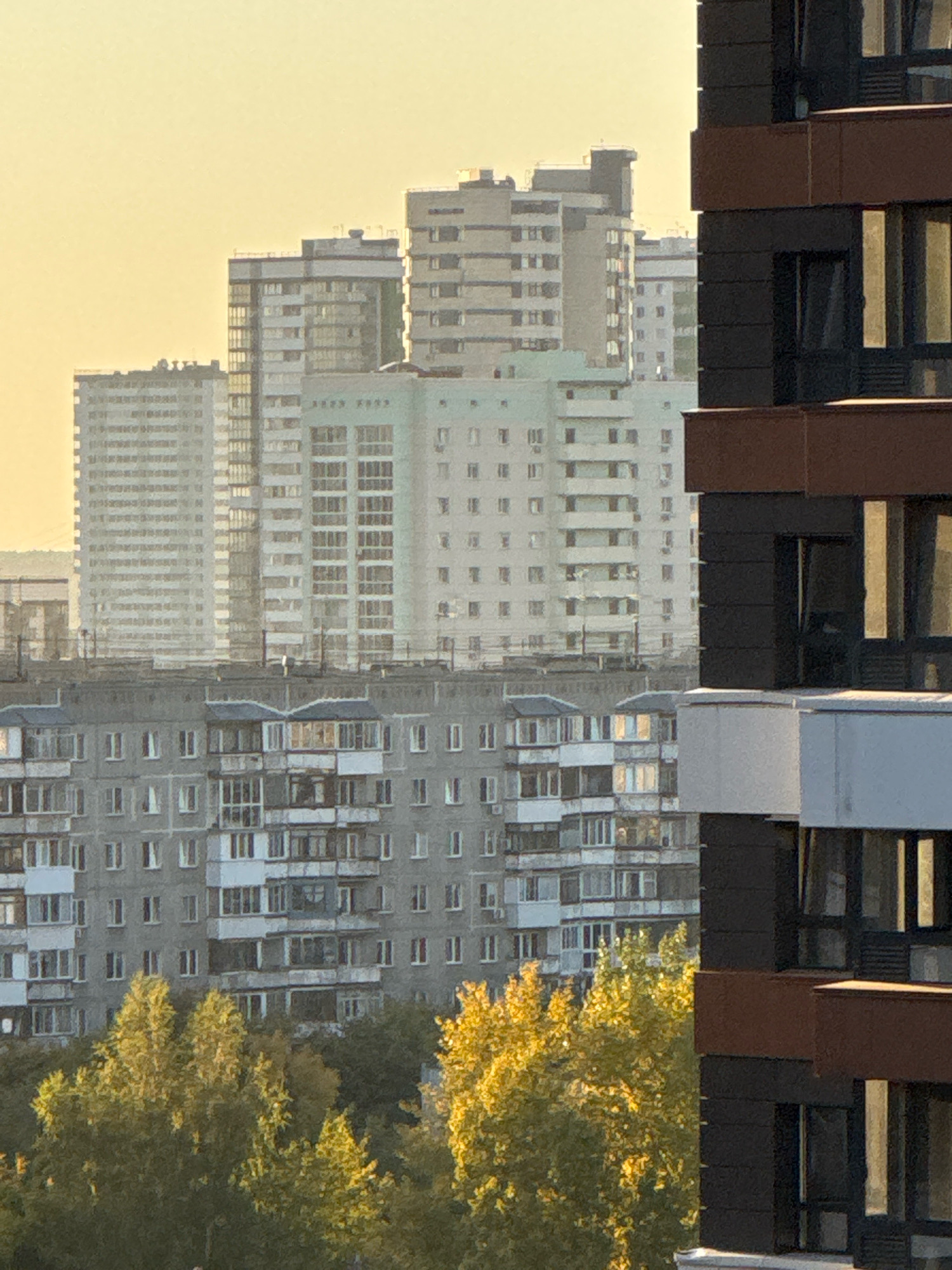 The image shows a view of a city skyline at what appears to be sunset or sunrise, judging by the warm, golden light. The scene is dominated by a series of apartment buildings of varying heights and architectural styles. In the foreground, on the right side of the image, is a modern building with dark brown and black facade elements, featuring multiple windows. To the left of this modern building, a row of older, gray apartment blocks is visible, characterized by their grid-like arrangement of windows and balconies. Further in the background, a cluster of taller, lighter-colored residential buildings rises, some with a more uniform, panel-like design, and others appearing more modern with glass facades. In between the lower and middle-ground buildings, a dense cluster of trees with bright yellow and green foliage suggests it is autumn. The sky is a pale yellow or cream color, indicating either the early morning or late evening. The overall impression is of a densely populated urban residential area. The context of Novosibirsk, Russia, suggests this could be a typical view of a residential district in the city, possibly with a mix of Soviet-era and more recent construction.