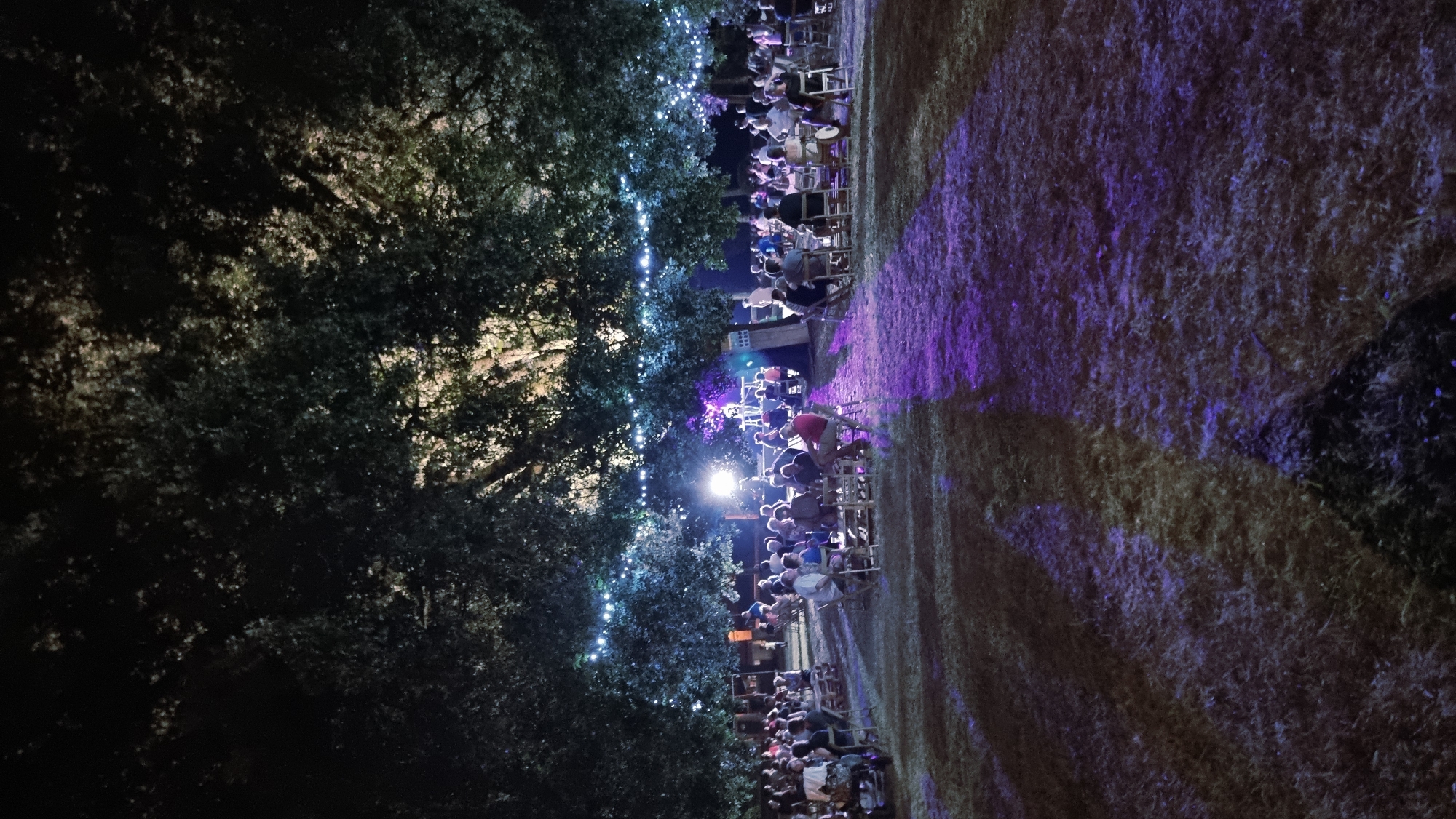 This is a vertical, medium-shot, nighttime photograph taken in the city of Sant Joan Les Fonts, Spain, likely during an outdoor event. The scene depicts a gathering of people seated on chairs in a grassy area, illuminated by strings of white fairy lights draped across the trees above and by purple stage lighting in the background. A stage or performance area is visible in the distance, with several figures on it. The trees overhead create a dark canopy, with dappled light filtering through. The ground is covered in grass, with patches of light and shadow, and a prominent swath of purple light. Several people are visible in the foreground and mid-ground, seated and facing the stage. They appear to be enjoying an event, possibly a concert or performance, in a park-like setting.