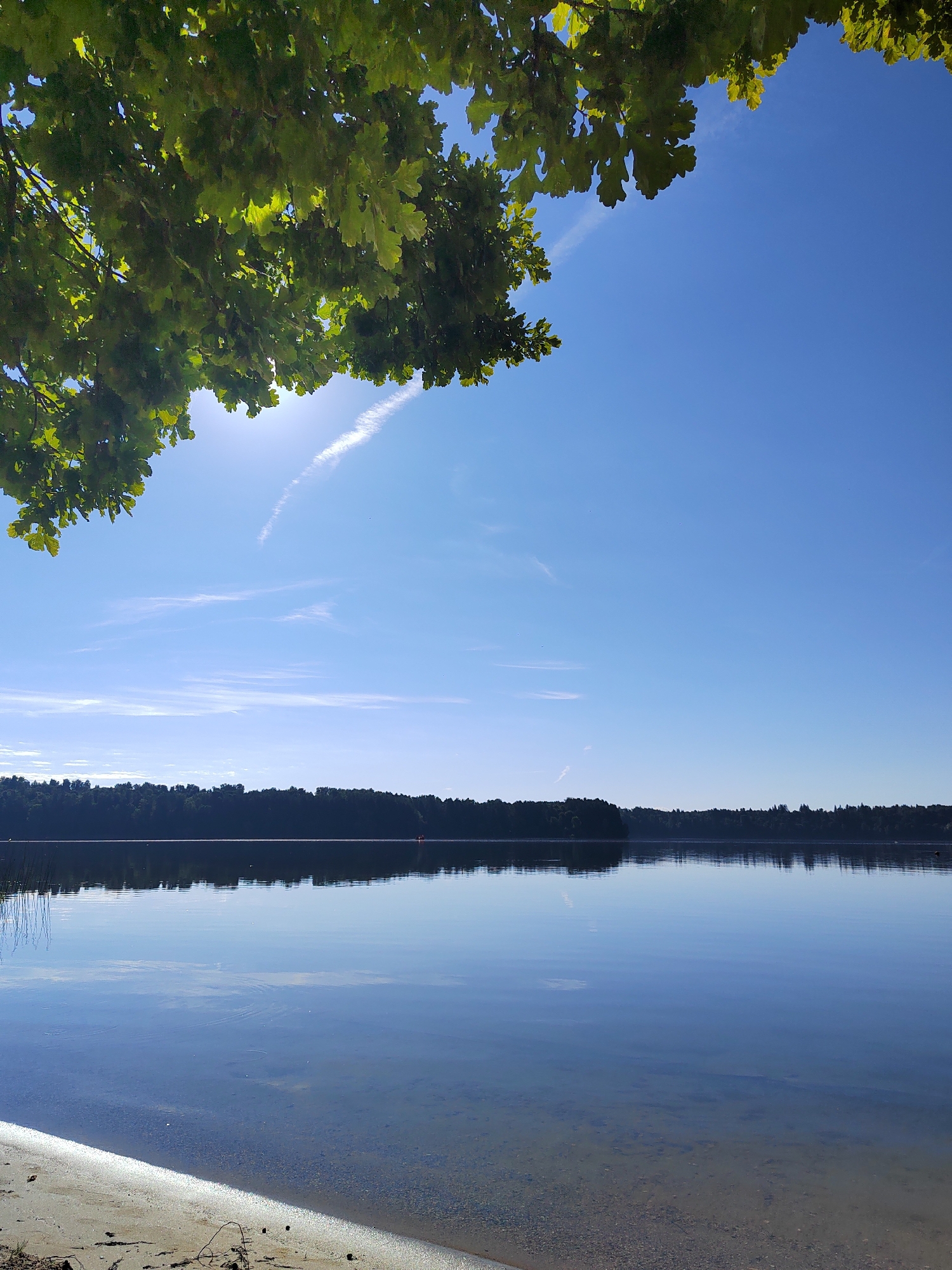 A tranquil scene unfolds at the Kuibyshev Hydroelectric Station settlement, Russia. In the foreground, a sandy beach transitions into the clear, calm waters of a lake. The water reflects the brilliant blue sky, with a few wispy white clouds streaking across it. A dense line of dark green trees forms the distant shoreline, their silhouettes sharp against the horizon. Overhead, the lush green leaves of a tree branch extend into the frame, dappling the sunlight. The overall impression is one of peace and natural beauty on a clear, sunny day.