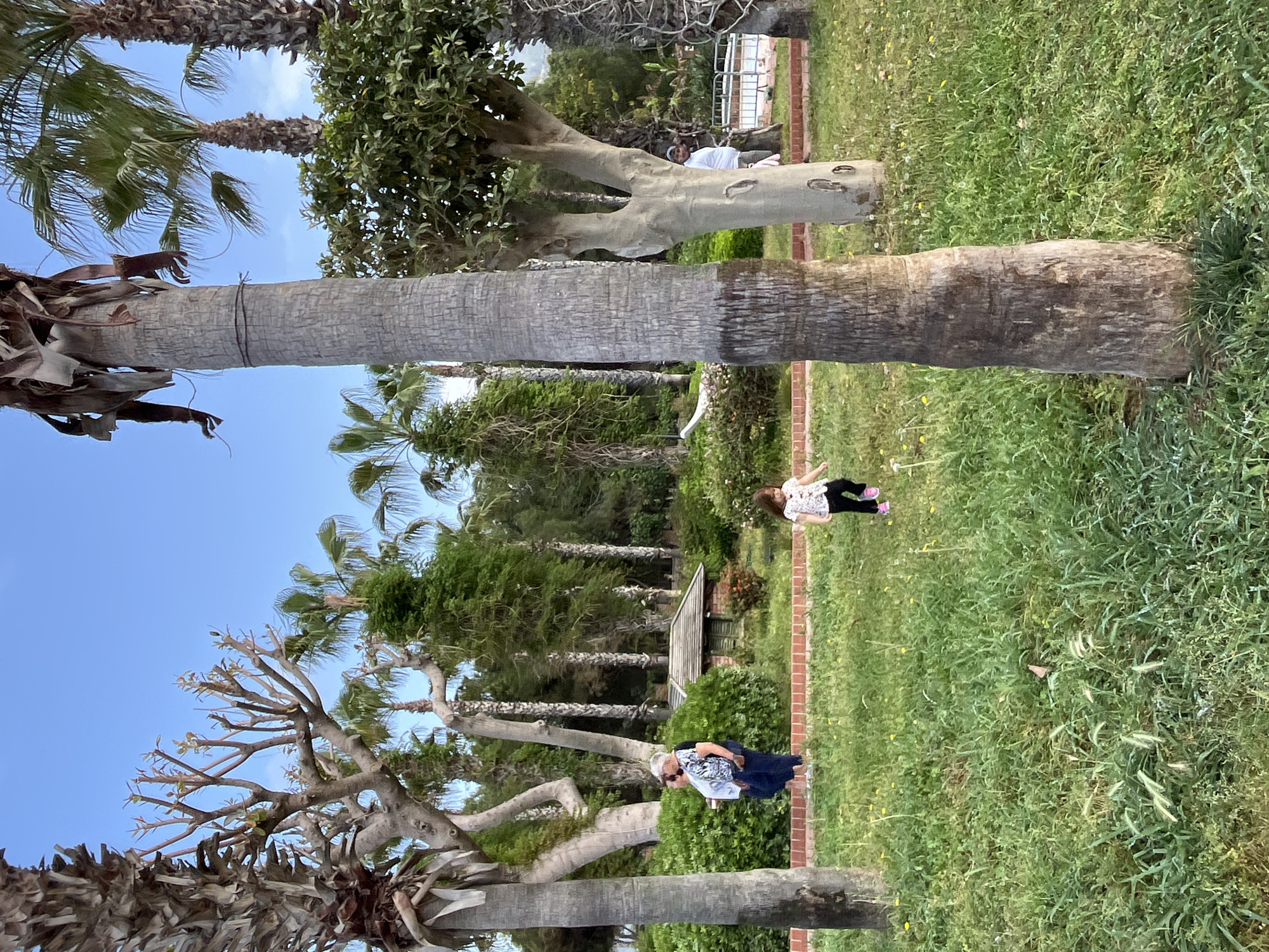 The image shows a park in Alanya, Turkey. Several tall palm trees dominate the scene. The trees are in varying states, some with full fronds, some with trimmed branches. The ground is covered in green grass, interspersed with patches of yellow flowers. Along the edges of the grass are brick borders. Two people are visible in the park. One appears to be an older woman in a blue and white shirt, looking at the camera. A girl in a patterned shirt is walking in the park. In the background, glimpses of additional buildings or structures can be seen. The sky is clear and blue.