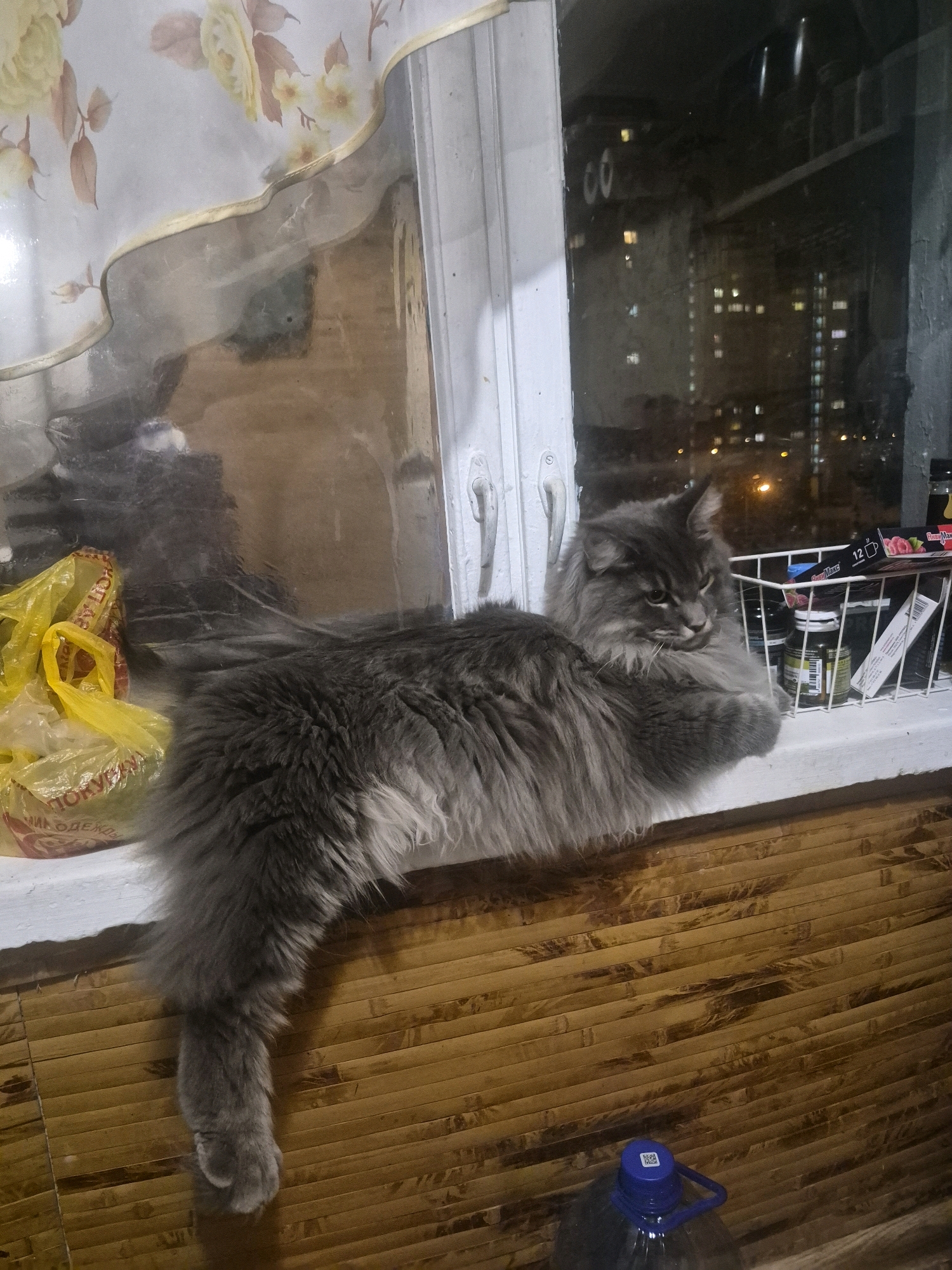 A fluffy gray cat is resting on a windowsill. The cat is lying down, with its body stretched out and its tail hanging off the edge of the sill. Behind the cat, there is a window with a view of city lights at night. To the left of the cat, there is a yellow plastic bag. To the right, there is a white wire basket containing several items, including bottles and a box with pictures of raspberries. The windowsill is made of white material, and the wall below it is paneled with wooden slats. A large blue-capped plastic bottle is visible at the bottom right of the image. The scene appears to be indoors, likely in an apartment in Khimki, Russia, given the presence of city lights and the overall domestic setting.