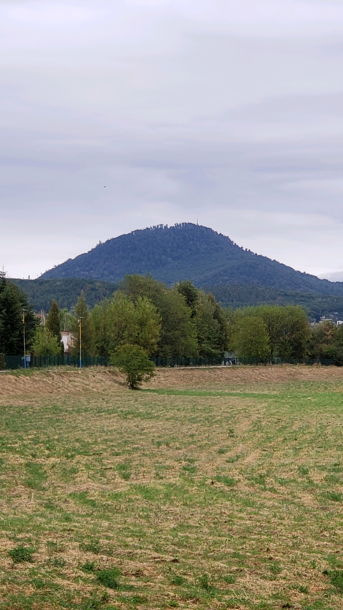 The image shows a landscape view with a prominent mountain in the background. In the foreground, there is a dry, grassy field with sparse green patches. A low fence runs horizontally across the middle ground, separating the field from a line of trees and some buildings. The trees are lush and green, forming a dense line. Beyond the trees, the mountain rises, covered in dark green foliage, with a visible communication tower or antenna at its summit. The sky is overcast with clouds. The scene appears to be a natural landscape with some man-made structures. This view is consistent with the surroundings of the Zemplínská šírava reservoir, specifically the area overlooking the Východoslovenské múzeum (East Slovak Museum) in Prešov, Slovakia, although the museum itself is not visible.