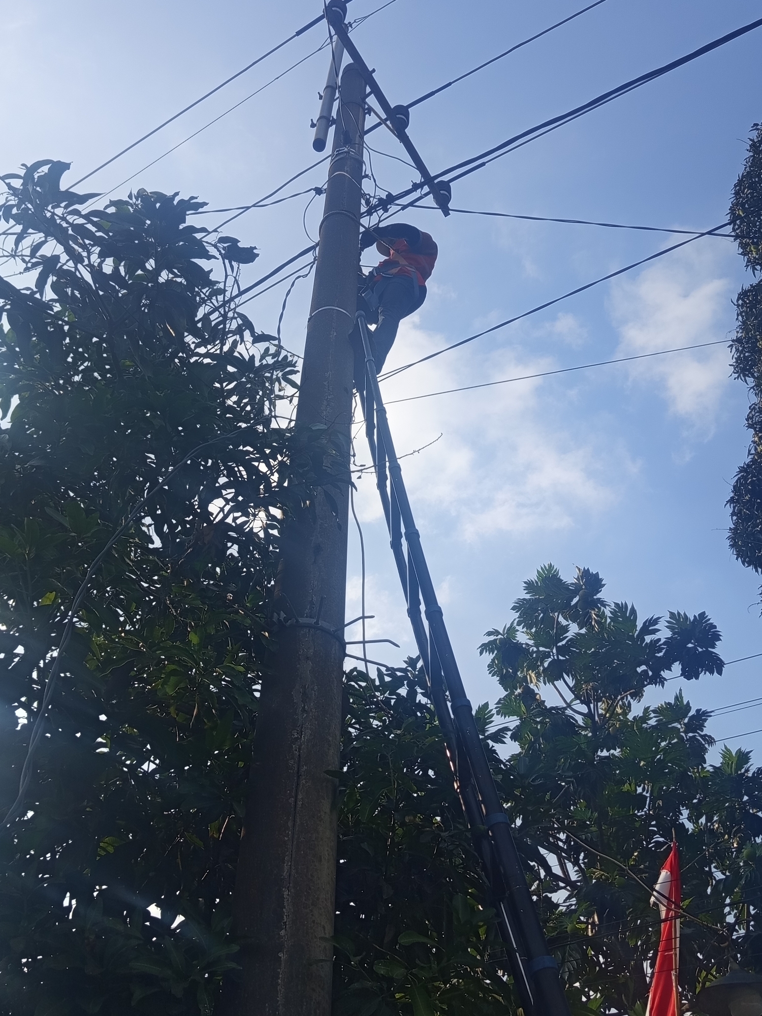 In Sukoreno, Indonesia, a man wearing a safety vest and a helmet is working on a utility pole. He is positioned high up on the pole, appearing to be performing maintenance on the overhead electrical wires. He is using a ladder that is leaning against the pole. The scene is outdoors, with trees visible on either side of the pole and a bright blue sky with some clouds in the background. A red and white flag is also visible in the lower right portion of the image, near the base of another pole.
