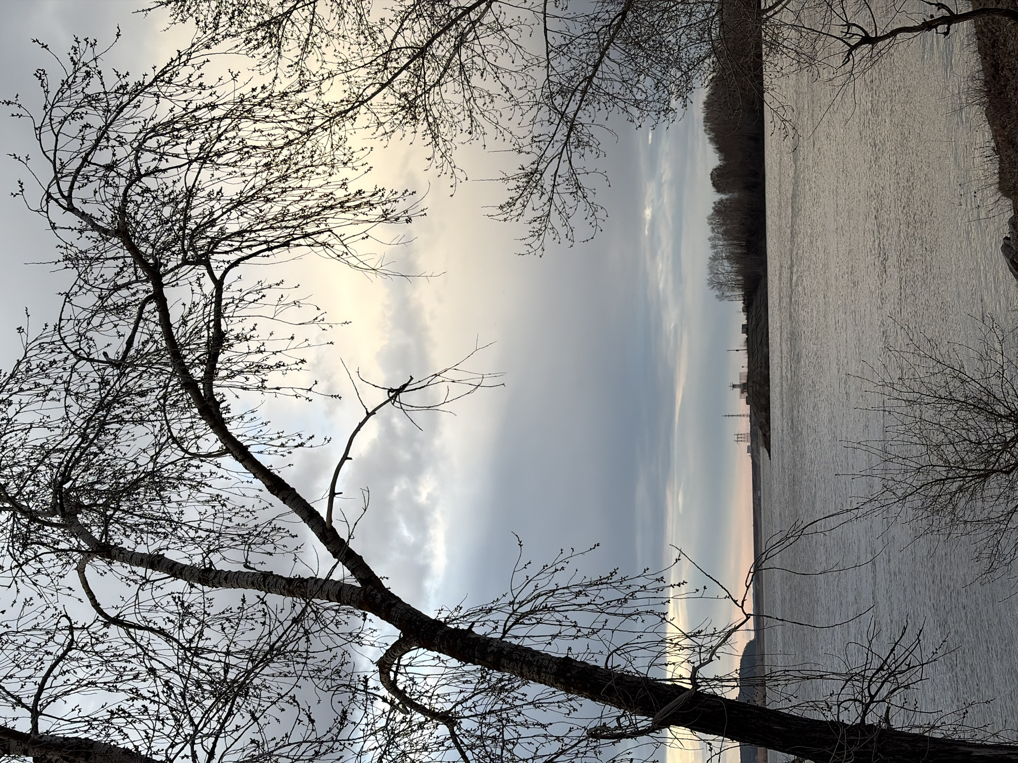 The image captures a tranquil landscape featuring a wide body of water and silhouetted trees against a cloudy sky, rotated 90 degrees clockwise from its correct orientation.
In the foreground, the dark, bare branches of deciduous trees, showing signs of early budding, frame the scene. A prominent tree trunk arches from the lower left, its branches extending upwards and across the sky, creating a striking silhouette. Other tree branches are visible along the top and bottom right, adding depth to the composition.
The middle ground is dominated by a vast, calm expanse of water, likely a river or large lake. Its surface reflects the muted tones of the sky, appearing slightly textured with subtle ripples. On the far bank of the water, a distant treeline or forest forms a dark, low horizon. Faintly visible beyond the trees, particularly towards the center right, are vague outlines of what appear to be distant industrial or urban structures, possibly towers or buildings.
The sky above is characterized by soft, diffused light with patches of pale yellow and white, suggesting either early morning or late afternoon. Overcast and bluish-grey clouds are present, creating a subdued and contemplative atmosphere. There are no people visible, and no specific activity or event is taking place. The overall impression is one of quiet natural beauty. No visible text is present in the image. This scene is located in Chaikovsky, Russia.