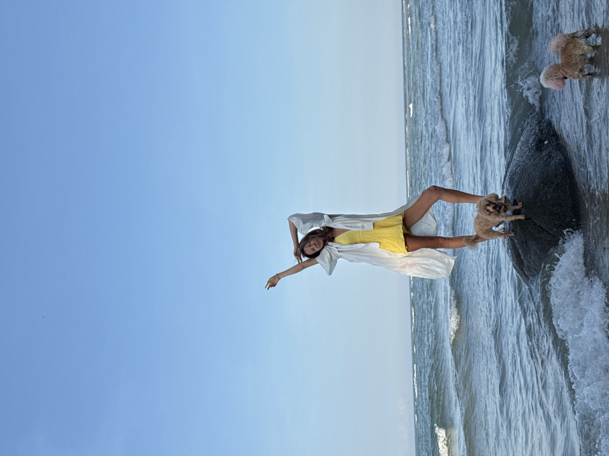 A full-shot, eye-level, outdoor photograph captures a woman and two dogs on a rock in the ocean. The woman, who appears to be in her late teens or early twenties, stands on a large, dark gray rock. She is wearing a yellow dress and a long, white, open-front cover-up. Her arms are raised, with her right arm bent at the elbow and her hand resting on her head, and her left arm extended upwards. She is facing forward and smiling.
A small, light brown dog stands on the rock in front of the woman, facing to the left. In the water to the right of the rock, a second small, light brown dog with pink-dyed fur on its head and hindquarters stands facing the rock. The ocean is calm with gentle waves and appears to be shallow around the rock. The sky is a clear, pale blue. The scene is set at sunrise or sunset on a beach in Thuận Thành, Vietnam.