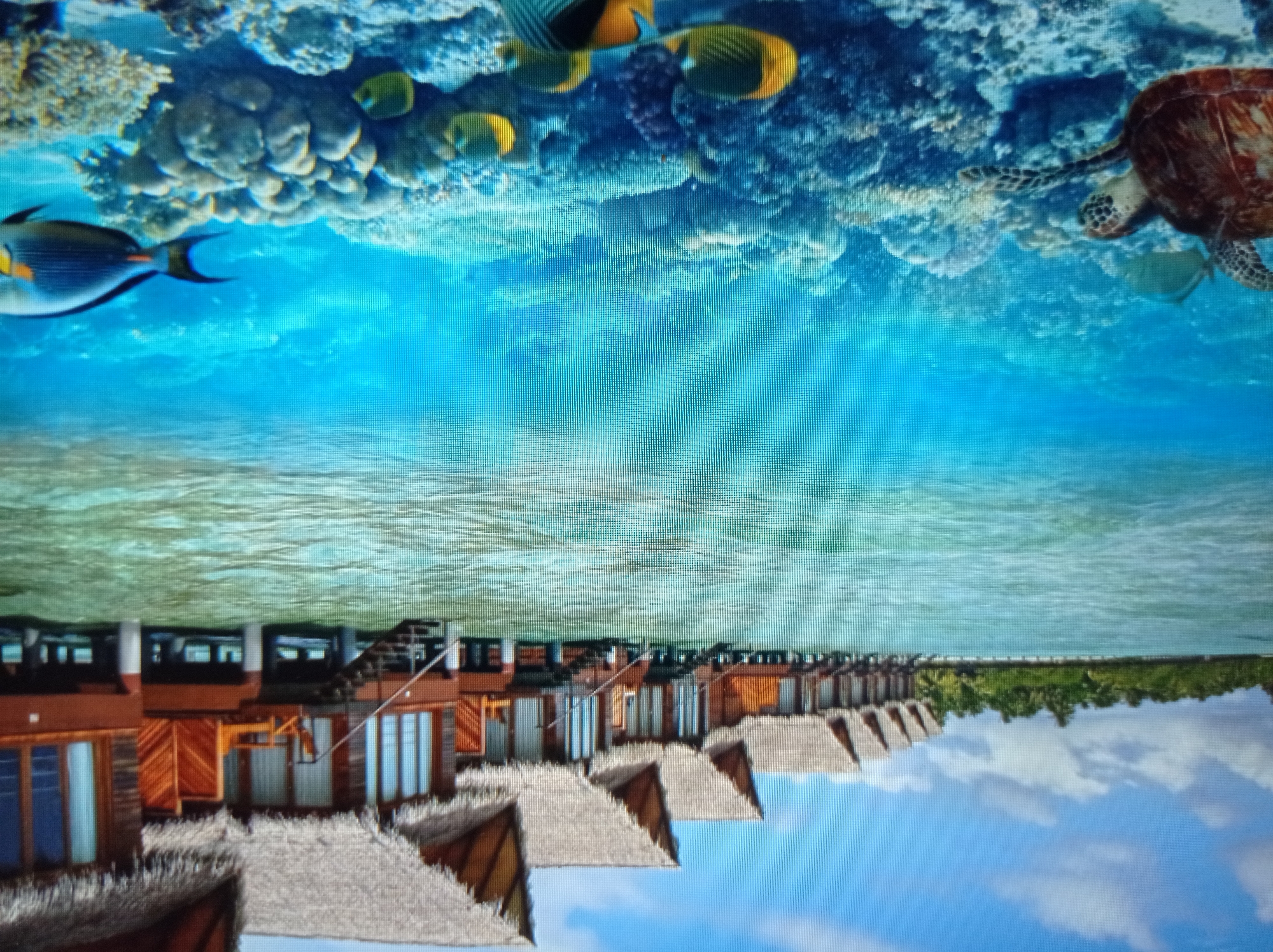 This image depicts a split view of an overwater bungalow resort and an underwater coral reef. In the upper portion, a row of wooden bungalows with thatched roofs are built on stilts over calm, turquoise water. Lush green trees line the distant shore, and a bright blue sky with scattered clouds stretches above. The lower portion reveals a vibrant underwater world with a coral reef teeming with marine life. A sea turtle swims in the foreground, accompanied by several colorful fish, including yellow butterflyfish and a larger dark-colored fish with yellow accents. The water is clear and a deep blue, allowing for excellent visibility of the coral formations and the aquatic creatures. There are no people or indications of the city of Mukachevo, Ukraine, present in this image.