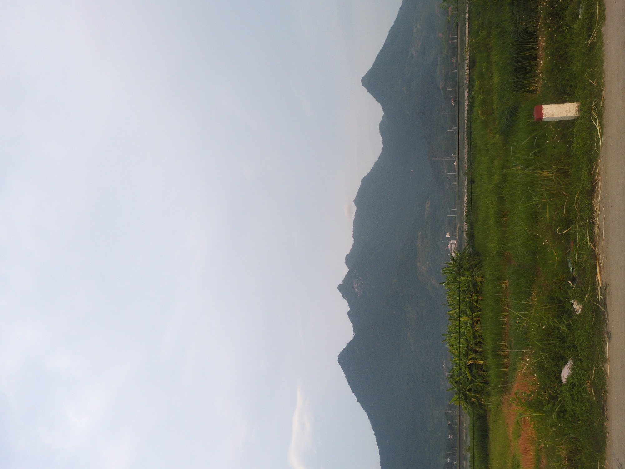 This is a landscape photograph taken from the ground level, looking towards a mountain range under a cloudy sky. In the foreground, there is a dirt road with some sparse vegetation and a white marker post with red markings. Beyond the road, a field of tall green grass stretches out, dotted with some smaller white flowers and patches of reddish-brown soil. A cluster of banana trees stands prominently in the middle ground, their large leaves vibrant green. In the far distance, the imposing silhouette of a mountain range dominates the horizon, its dark green slopes covered in dense vegetation. The sky above is a muted gray, with a few wispy clouds. The scene appears to be located in or around Tu Vũ, Vietnam, given the presence of banana trees and the characteristic mountainous terrain often found in the region.