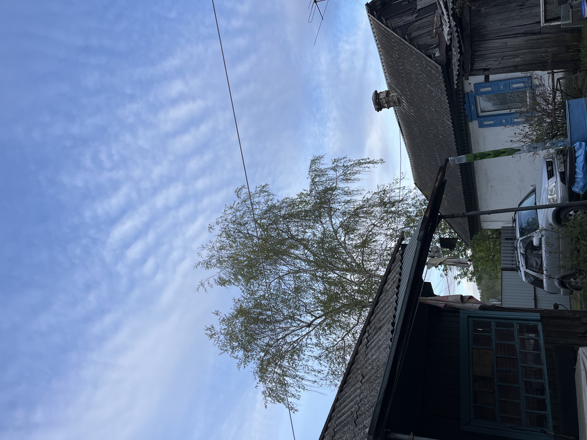 The image shows an upward view of a rural scene in Зыково, Russia. A birch tree with sparse leaves is centered. Overhead power lines cross the frame. Weathered buildings with corrugated roofs and blue-painted window frames are visible. A light-colored SUV is parked next to one of the buildings. The sky is light blue with altocumulus clouds.