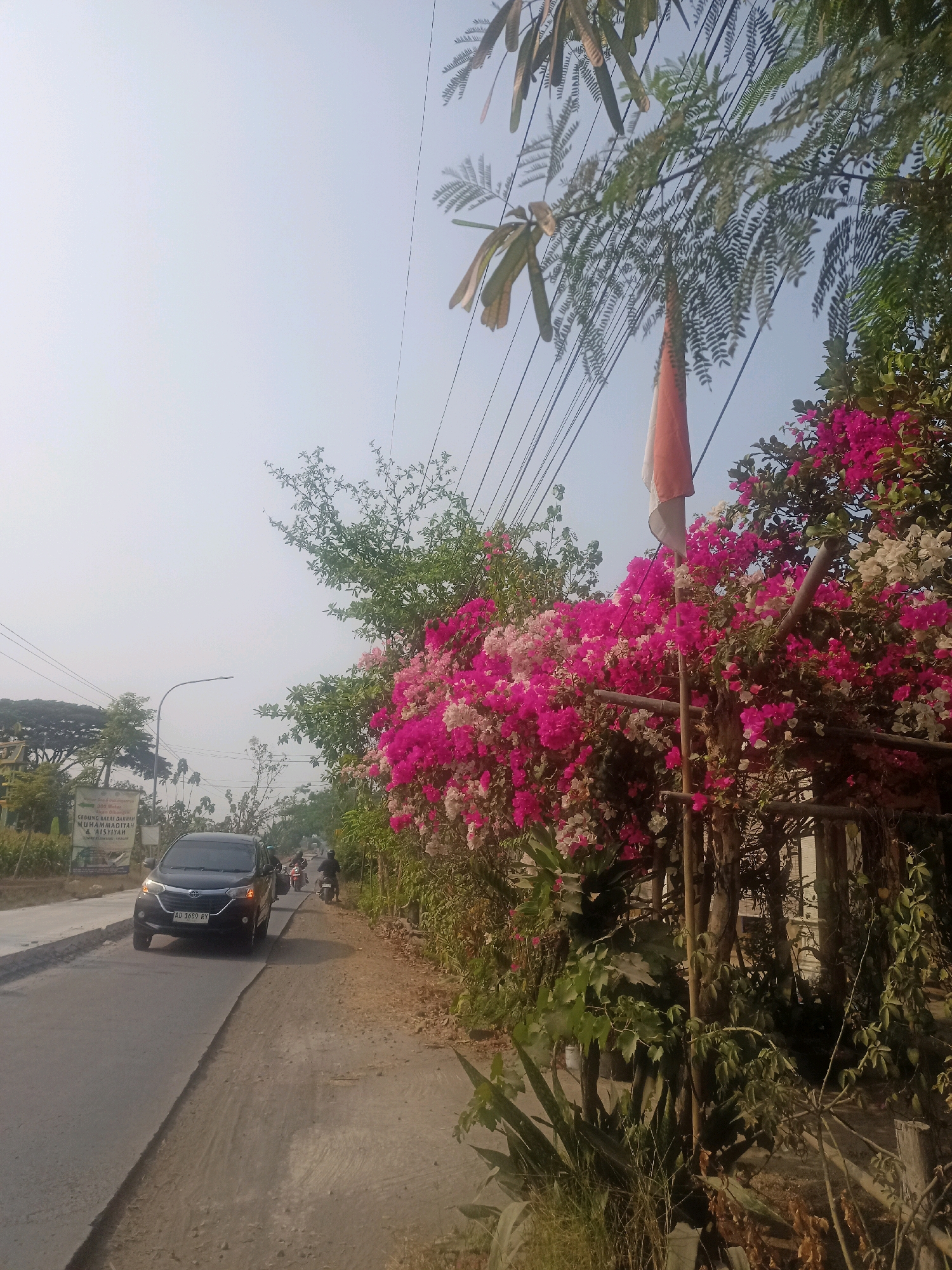 The image depicts a street scene in Ngandul, Indonesia. A black car with license plate "AD 1660 RY" is driving on the asphalt road. To the right of the road, a dense cluster of vibrant pink and white bougainvillea flowers is visible, partially obscuring a wooden fence and some trees. An Indonesian flag, white and red, is also present among the foliage. In the background, several motorbikes are seen on the road, and a tall street lamp stands to the left. A billboard with text in Indonesian can be observed on the left side of the road. The sky is overcast with a light haze. The environment appears to be a rural or semi-urban area with vegetation lining the road.