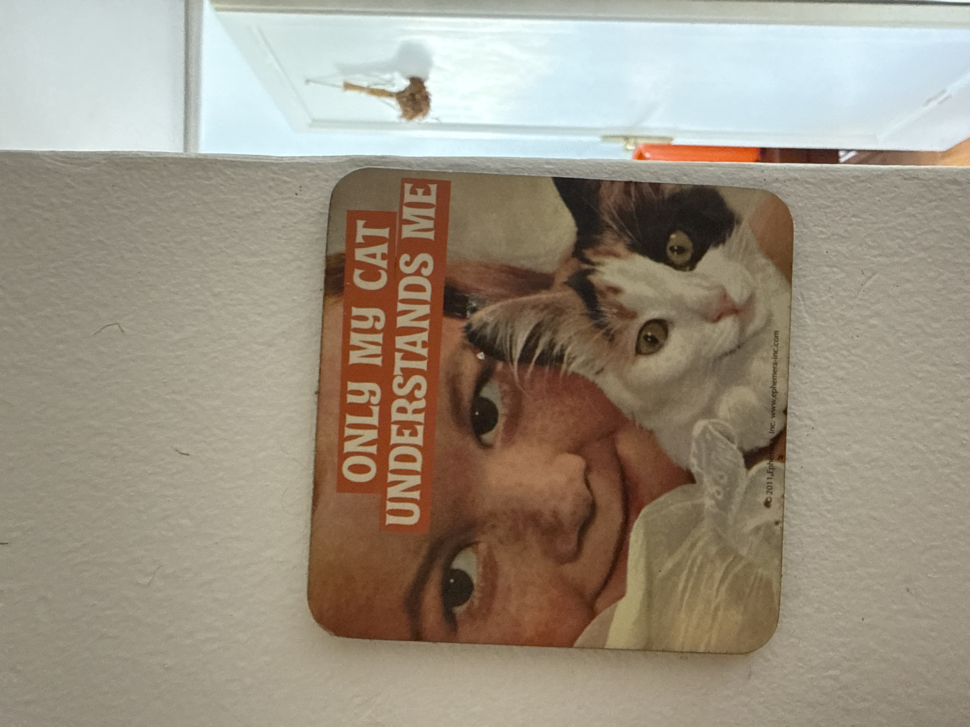 The image shows a square coaster attached to a white surface, presumably a wall. The coaster features a photograph of a person's face next to a cat. The text "ONLY MY CAT UNDERSTANDS ME" is printed in orange block letters on the coaster. The surface behind the coaster is plain white. The top of the image includes a partial view of a white cabinet or shelf with some objects inside. There is no evidence to indicate the image was taken in Barcelona, Spain.
