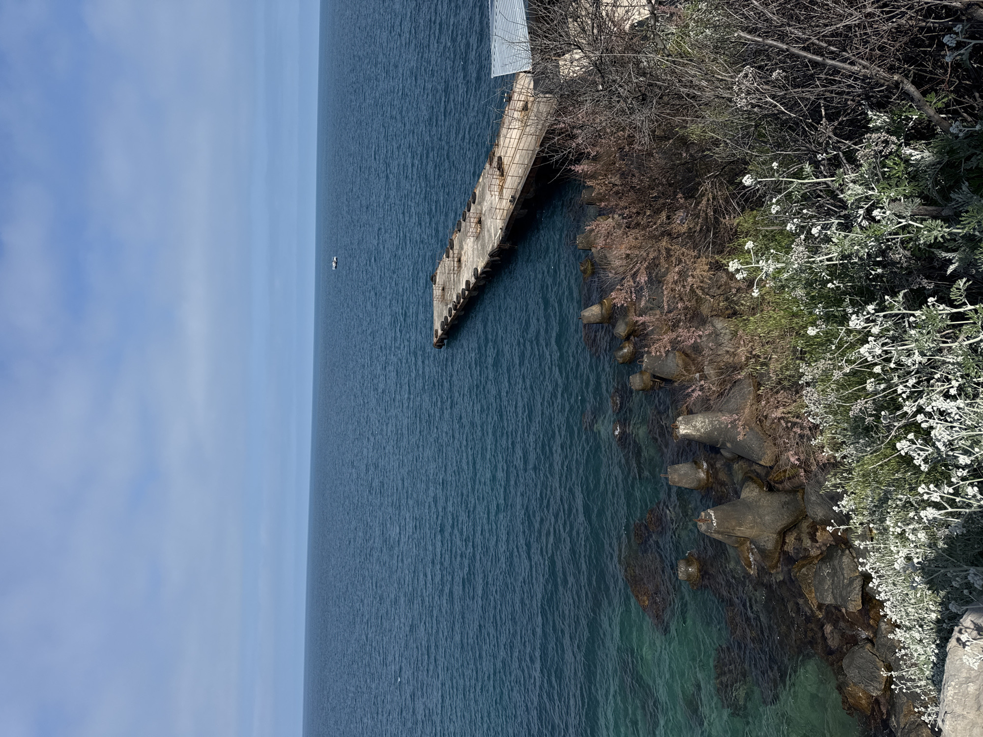 The image shows a coastal scene, likely taken in or near Гаспринский поселковый совет, Ukraine. The main feature is a dilapidated concrete pier or breakwater extending into the deep blue sea. The pier is weathered and shows signs of decay. A small boat or ship is visible in the distance. The coastline is rugged with large concrete tetrapods acting as wave breakers. Vegetation, including trees and bushes with white flowers, grows along the shoreline. The water near the shore is clear and turquoise in color, revealing rocks and the seabed.