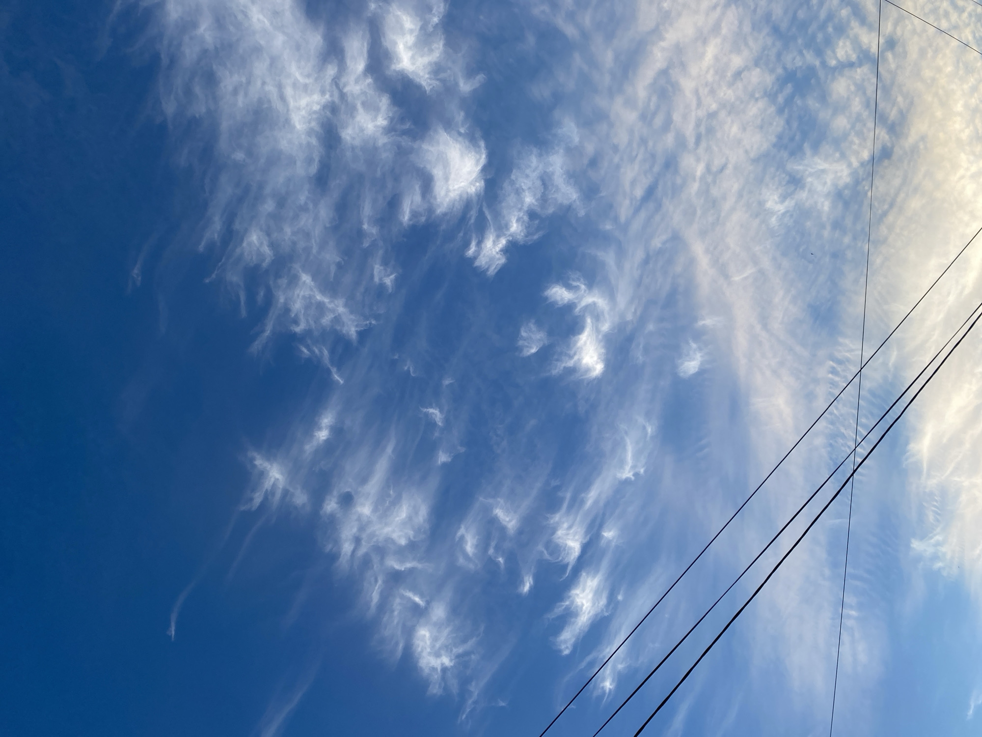 This image captures a wide-angle view of a vivid blue sky filled with wispy, white cirrus clouds. The clouds are spread across the frame, appearing as delicate, feathery streaks, some more defined than others. The overall impression is one of a clear day with high-altitude cloud formations.
In the lower right portion of the image, three dark, parallel lines stretch diagonally across the sky, indicative of overhead power lines. These lines suggest an urban or suburban setting. The light suggests it is daytime, with a bright sky, and the presence of cirrus clouds might hint at an approaching weather change, though the sky is largely clear.
There are no people or distinct objects other than the power lines and clouds. The setting is an outdoor sky view. The image evokes a sense of openness and a peaceful, natural sky, contrasted by the man-made power lines. The overall mood is calm and serene. No text is visible in the image.