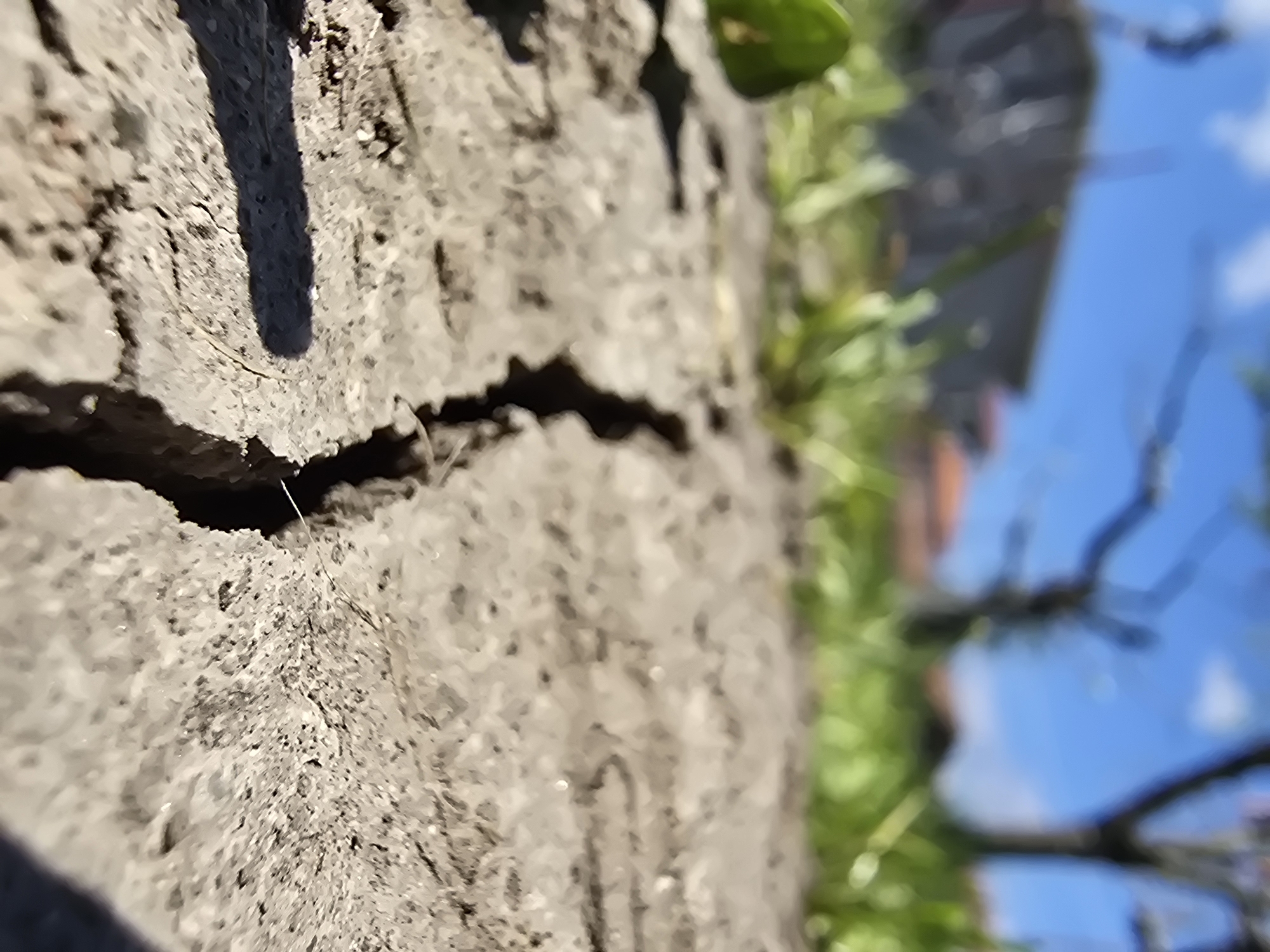 The image shows a close-up view of cracked concrete or a similar material, possibly part of a sidewalk or a low wall. A thin strand, perhaps a root or a fiber, spans the crack. In the blurred background, there is green grass, foliage, a building with an orange roof, and a blue sky with clouds. The setting appears to be outdoors in a residential area. The exact city is Unknown.
