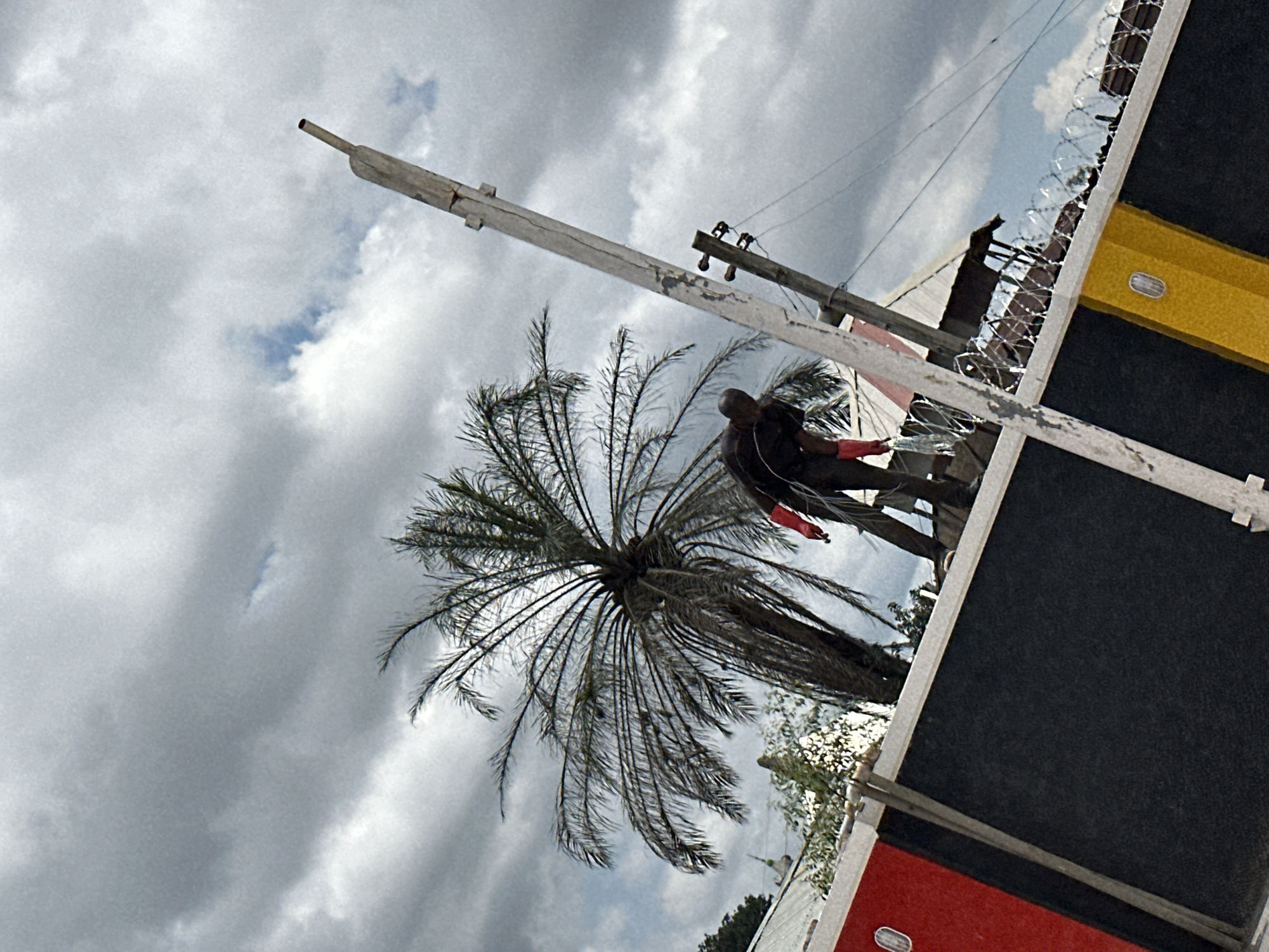 In Jos, Nigeria, a man in dark clothing with red gloves is leaning over a black wall topped with barbed wire. He appears to be holding a clear plastic bag or object. Behind him, a tall palm tree reaches towards a cloudy sky. A wooden pole, possibly part of a utility structure, is angled in the foreground, running from the bottom right to the top right of the frame. The wall has distinct red and yellow painted sections. Other structures, including rooftops and what looks like a canopy, are visible in the background. The overall scene suggests an outdoor urban environment under a stormy or overcast sky.