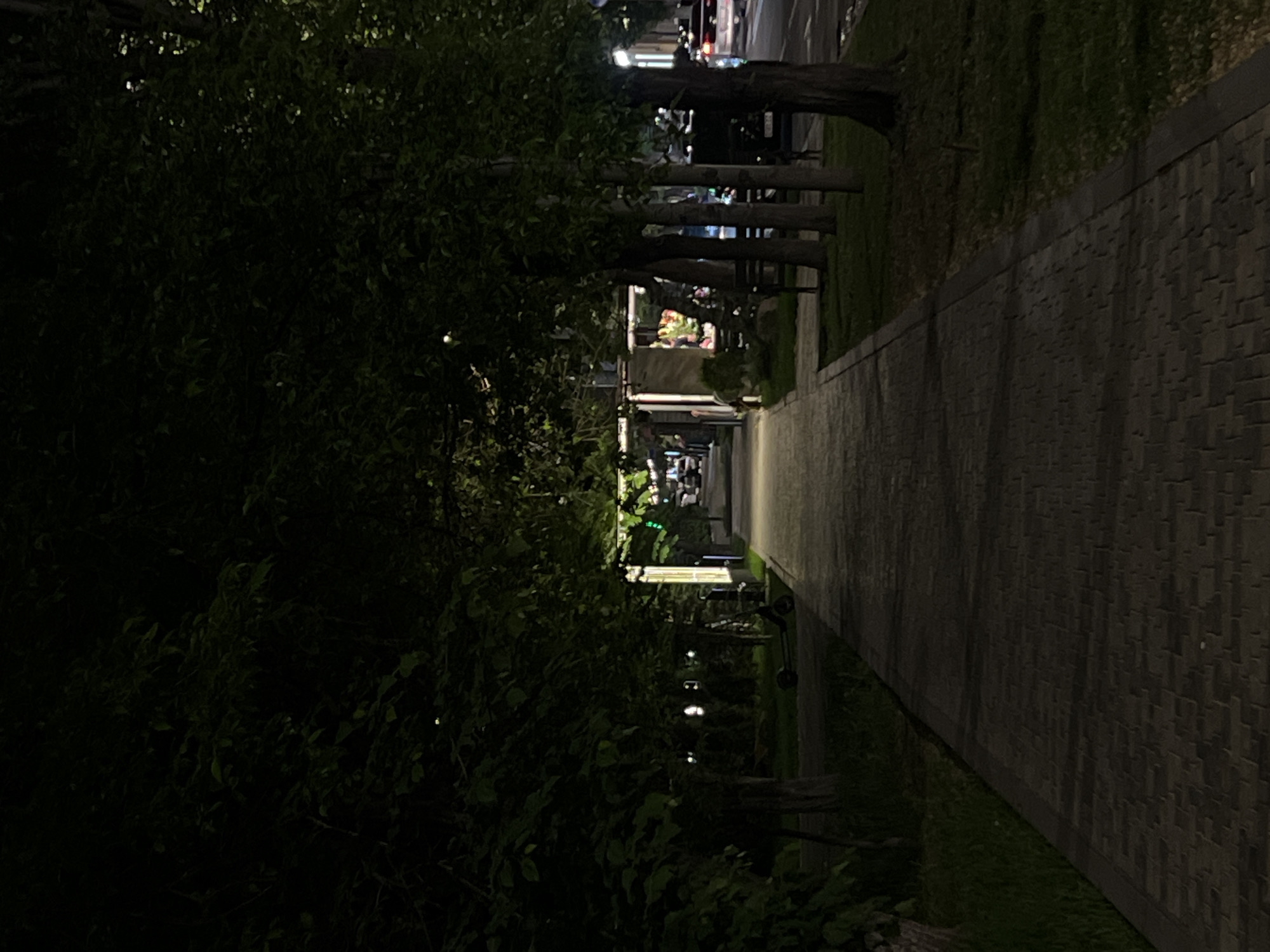 This image depicts a nighttime scene along a pedestrian walkway in Yerevan, Armenia. The walkway is paved with rectangular stones and is flanked by lush greenery on either side, including trees and shrubbery. Streetlights illuminate the path, creating a tunnel-like effect. In the distance, cars and other urban elements suggest an urban environment.