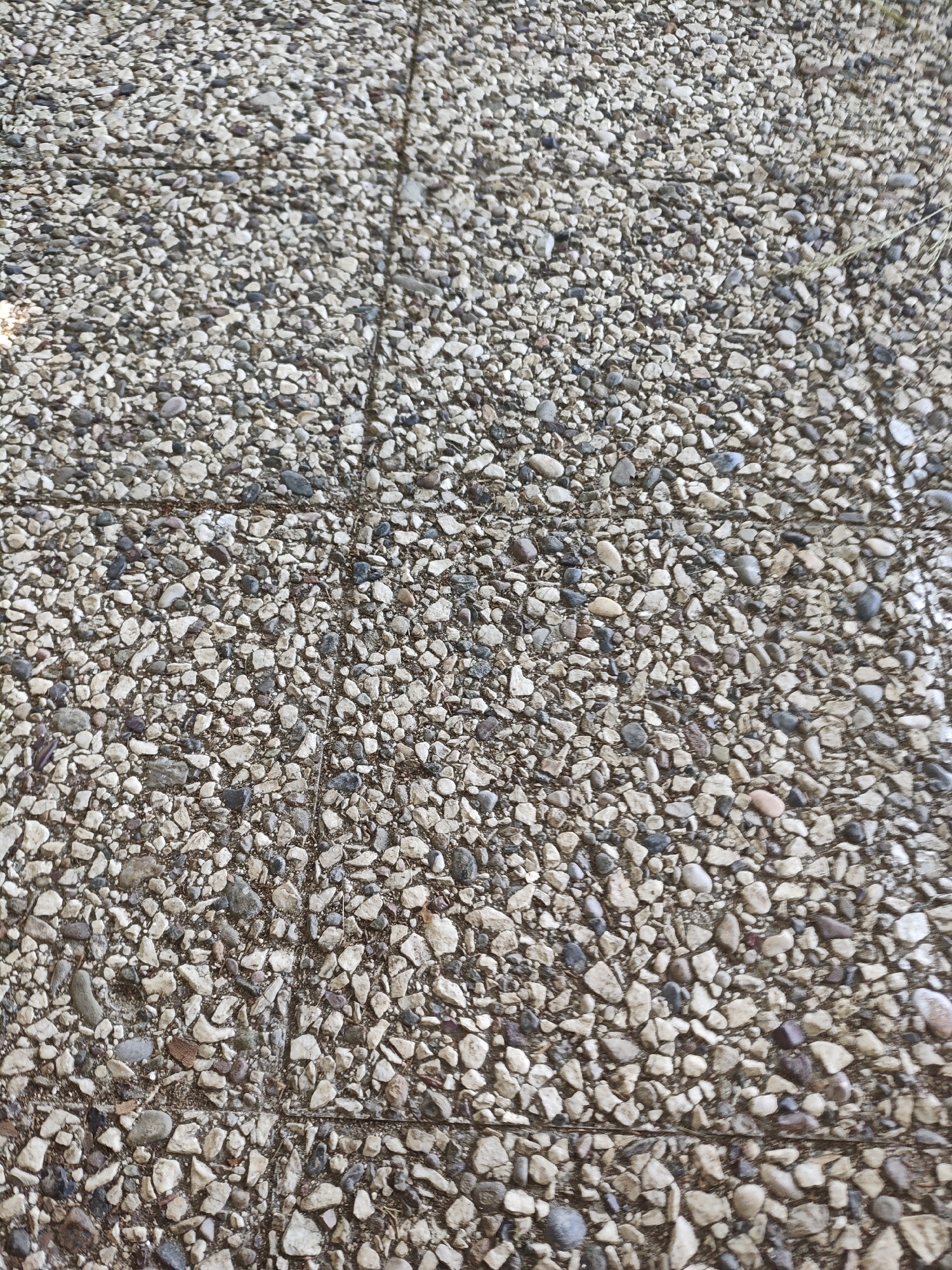 The image shows a close-up, top-down view of a textured concrete surface with exposed aggregate. The aggregate consists of small, irregular pebbles of various colors including white, gray, tan, and some darker stones. The surface appears to be outdoors, possibly a sidewalk or patio, as evidenced by faint grout lines or seams that divide the concrete into square or rectangular sections. There are no people or distinct objects visible in the frame. The lighting suggests it is daytime, with some areas appearing brighter due to direct light. The overall impression is of a durable, utilitarian ground surface.