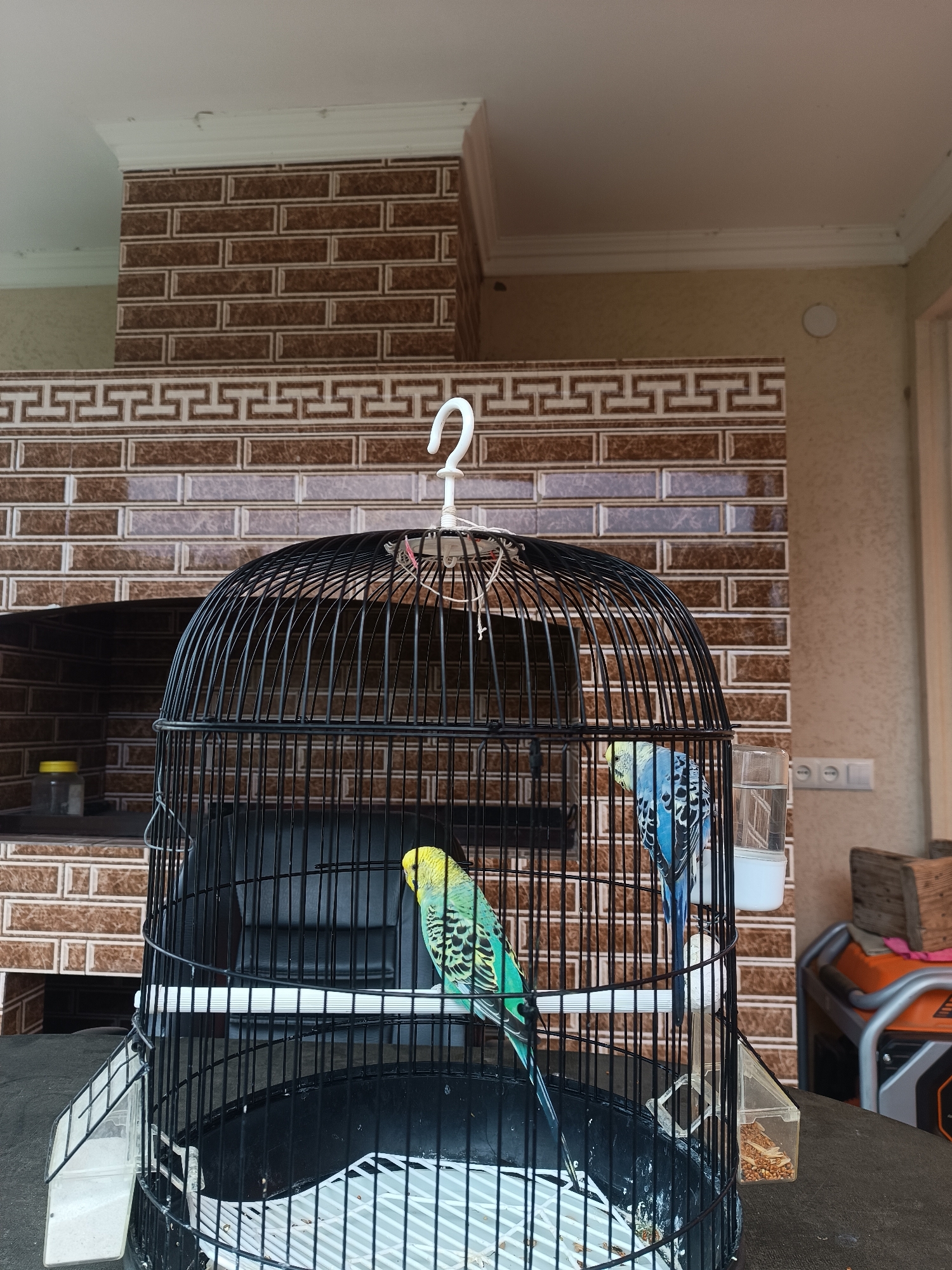 In Myrza-Ake, Kyrgyzstan, an outdoor scene features a black metal birdcage containing two budgerigars. One budgerigar is predominantly green with yellow and black markings, perched on a white horizontal bar inside the cage. The second budgerigar, positioned higher and towards the back of the cage, is primarily blue with black markings. The cage has a rounded top and is suspended by a white hook.
Behind the cage, a textured brick wall with a pattern of brown and light grey rectangular bricks forms the backdrop. Above the brickwork, a white decorative molding runs along the ceiling. To the right of the brick wall, a light beige wall is visible. In the background, a part of an outdoor fireplace or grill structure is visible on the left, and various objects, including a yellow container and a portable generator with orange and grey accents, are present. The cage sits on a dark, possibly a table or surface.