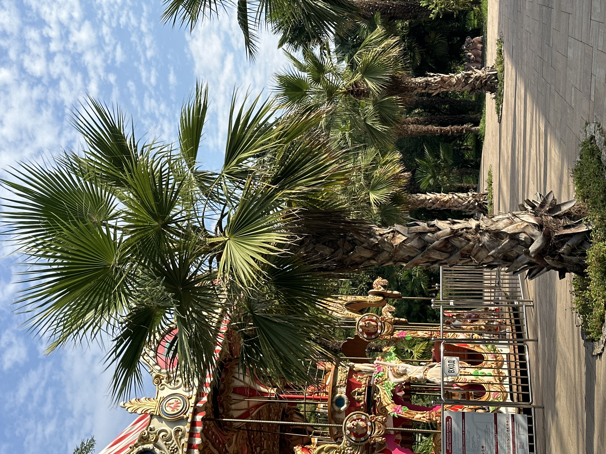 This is a ground-level, full shot image of a carousel in Sochi, Russia. The carousel is elaborately decorated with red and white striped awnings and gold trim, featuring various figures. A prominent palm tree stands in the foreground, its fronds reaching towards a blue sky with scattered white clouds. In the background, more palm trees and lush greenery are visible, suggesting a tropical or subtropical park setting. A metal fence surrounds the carousel entrance, with a sign indicating "ВХОД" (entrance) in Russian. The ground is paved with light-colored tiles, and sunlight casts shadows from the palm trees. There are no people visible in the image.