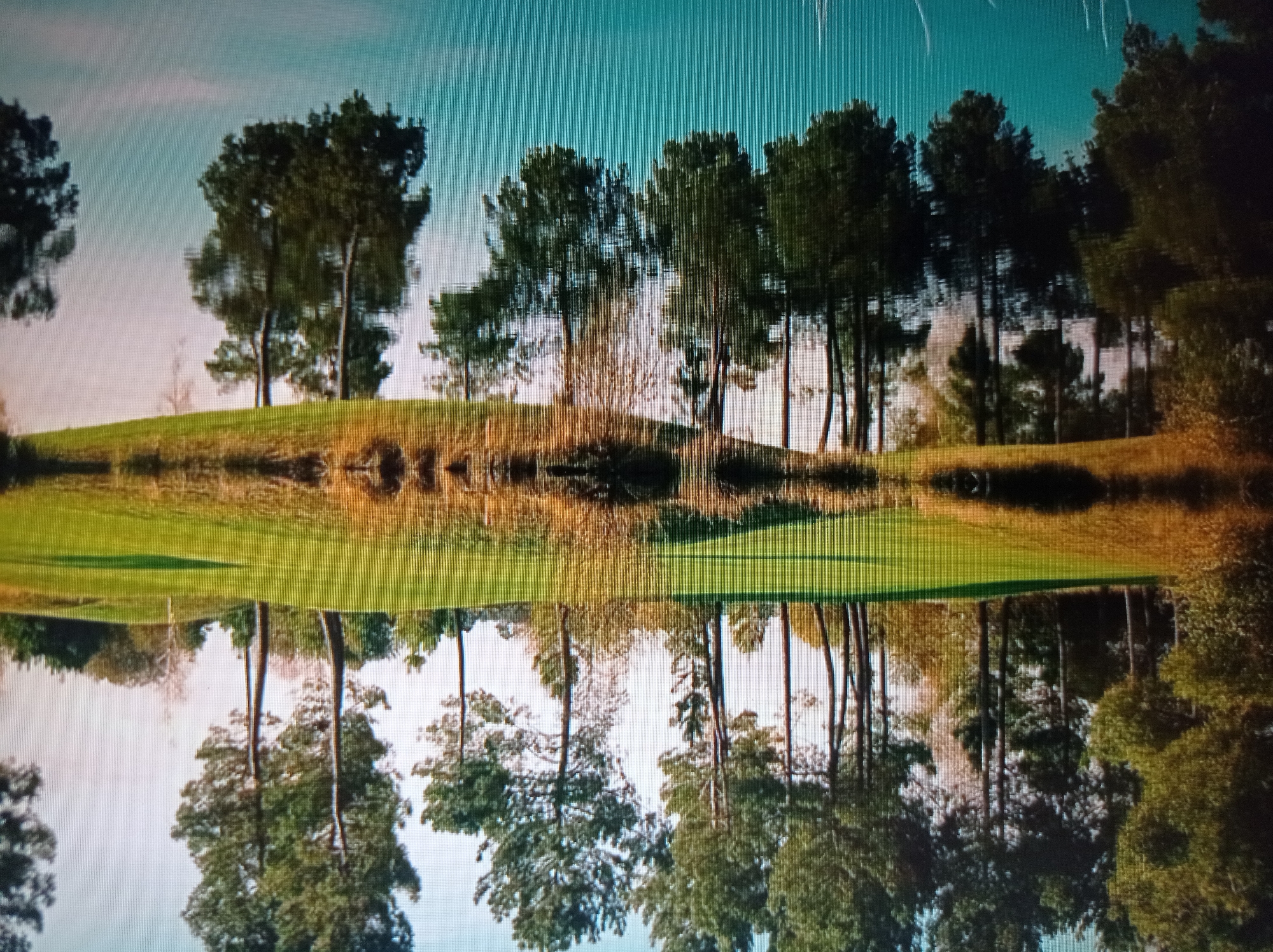 The image shows a body of water reflecting trees and a green grassy area, likely a golf course. The water is calm, creating a mirror-like effect of the landscape above. The trees are tall and appear to be evergreen. The sky is a pale blue, suggesting it is daytime. The foreground of the image is dominated by the reflection in the water, while the background depicts the actual scene. The image has a serene and natural feel. However, there is no information or visual cues within the image to identify it as being located in the city of Mukachevo, Ukraine.