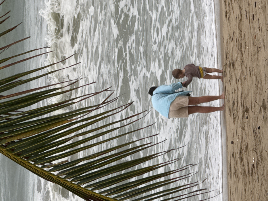A beach scene in Nha Trang, Vietnam, features two individuals standing at the waterline, observed from behind. An adult, wearing a light blue long-sleeved top and light brown shorts, stands with their back to the viewer, facing the ocean. A dark strap crosses their left shoulder. Holding the adult's right hand is a young child, a toddler, wearing a brown long-sleeved top and light-colored, possibly patterned, swim bottoms or underwear. The child also faces the ocean, with their feet at the edge where small waves wash onto the light brown sand. The ocean occupies the majority of the background, exhibiting greyish-white choppy waves. A large, dark green palm frond hangs diagonally into the upper left portion of the frame, partially obscuring the ocean. The sandy beach is visible in the lower half of the image, with a distinct wet line indicating the reach of the waves.