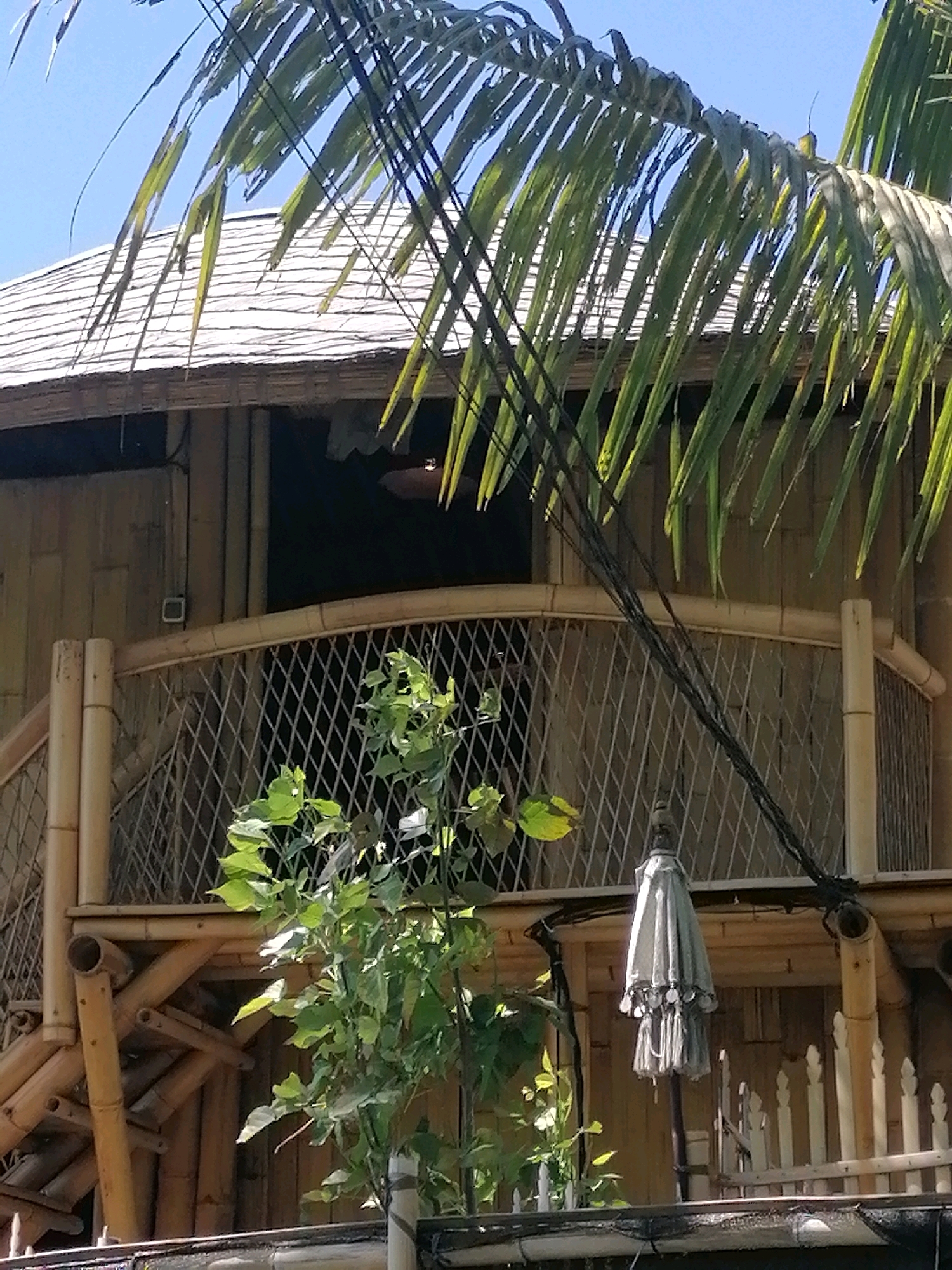 This image captures a portion of a traditional Balinese building with a thatched roof, constructed primarily from bamboo. A balcony railing, also made of bamboo and featuring a diamond-shaped mesh, is visible. In front of the railing, a small green plant grows. To the right of the plant, a closed, light-colored umbrella stands on a pole. The background consists of a light blue sky partially obscured by palm fronds. The building's exterior walls appear to be made of horizontally laid bamboo. The overall impression is of a rustic, tropical dwelling in Ubud District, Indonesia.