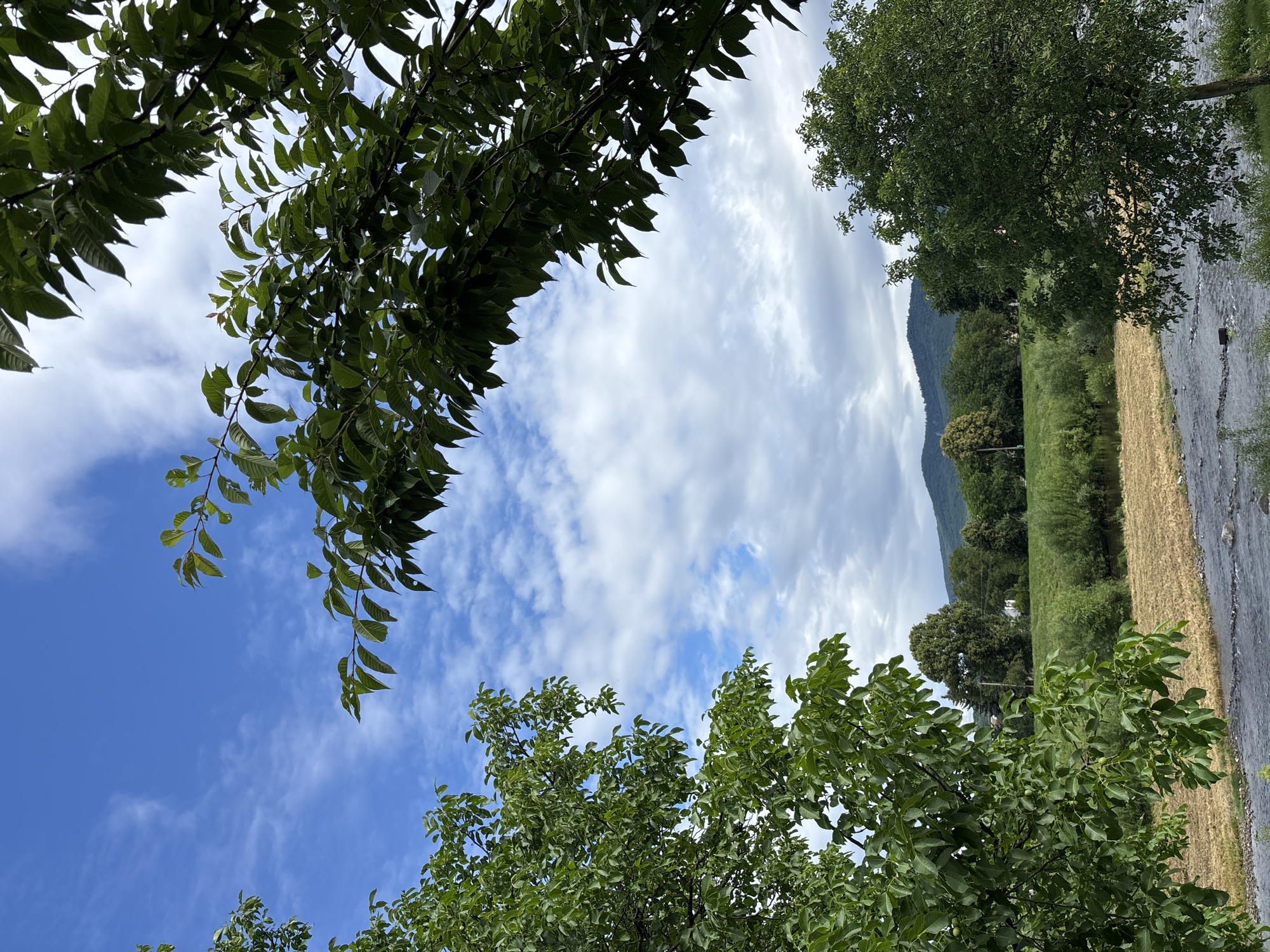 The image depicts a serene natural landscape with a clear blue sky dotted with fluffy white clouds. Lush green trees frame the scene from the foreground, their leaves rustling gently. In the middle ground, a field of dry, golden hay stretches towards a line of trees, suggesting a rural setting. A tranquil river flows gently in the foreground, its surface rippled by a light breeze. In the background, rolling hills, covered in verdant foliage, rise majestically, completing the picturesque view. The scene evokes a sense of peace and natural beauty.