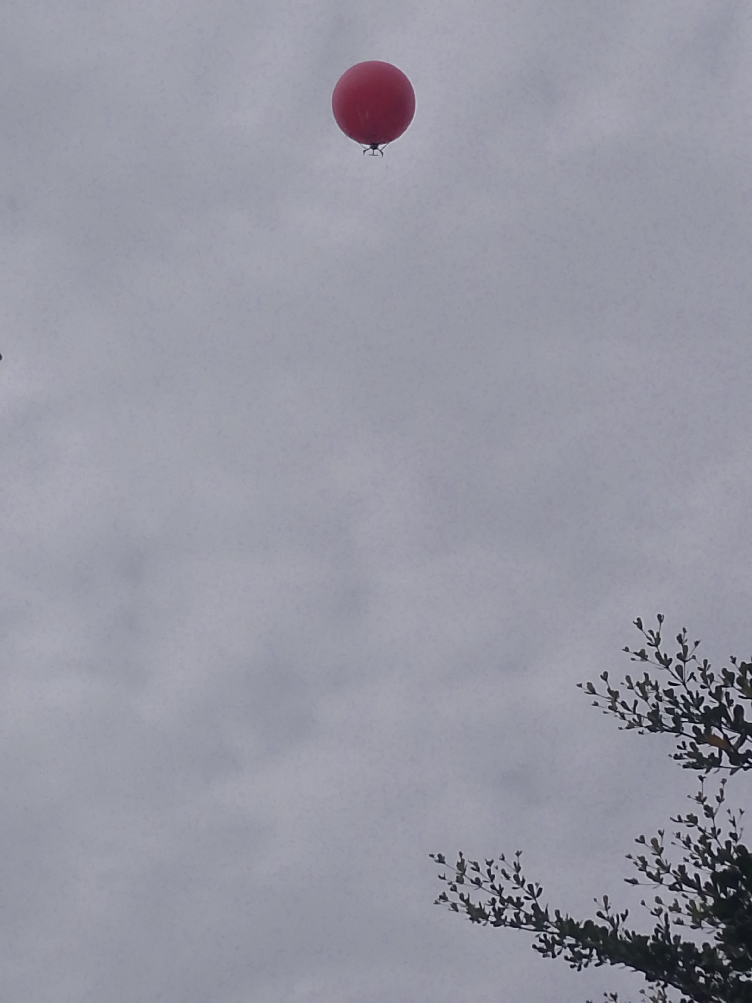 A single red balloon is visible in the overcast sky over Eleweran, Nigeria. The balloon is high up and appears to be the only object of focus in the sky. In the lower right portion of the image, the branches of a tree with small leaves are visible. The sky is a uniform gray, suggesting cloudy weather. No people are visible in the frame.