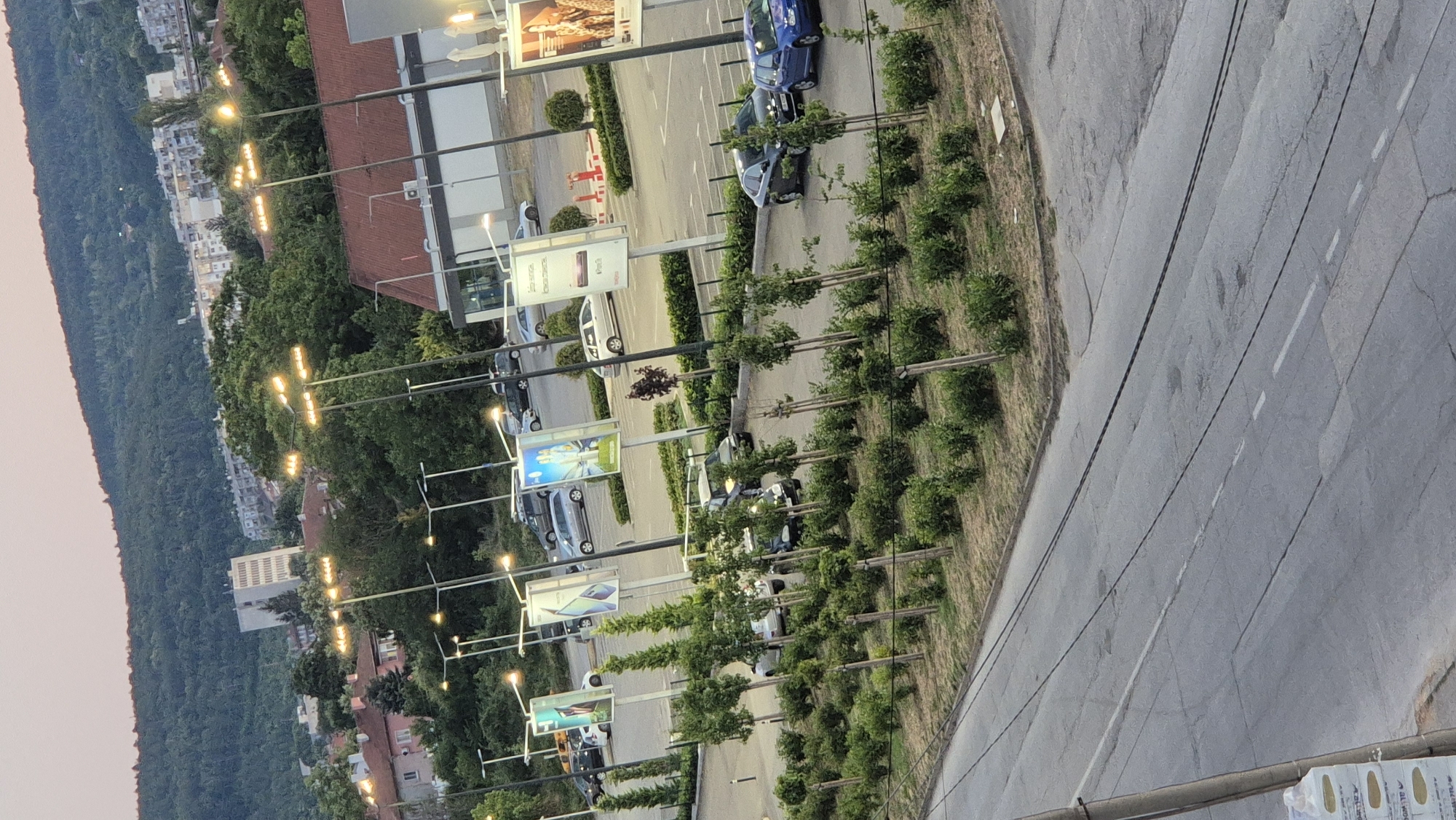 The image captures an outdoor scene in Lovech, Bulgaria, likely a parking lot or commercial area adjacent to a wooded hillside. The foreground shows a cracked asphalt road with power lines overhead. Beyond the road is a landscaped area with rows of young trees and manicured bushes, separated by thin wooden stakes. In the middle ground, a large, paved parking lot is visible, populated with several vehicles, including a blue sedan, a dark sedan, and a silver SUV. Large illuminated billboards stand in the parking lot, displaying advertisements with images and text. Beyond the parking lot, a building with a red roof and white walls is visible, along with more trees and foliage. In the background, a densely wooded hillside rises, with apartment buildings and houses scattered along its slopes and at its base. The sky is a soft, muted color, suggesting either early morning or late evening light. There are no people visible in the image.