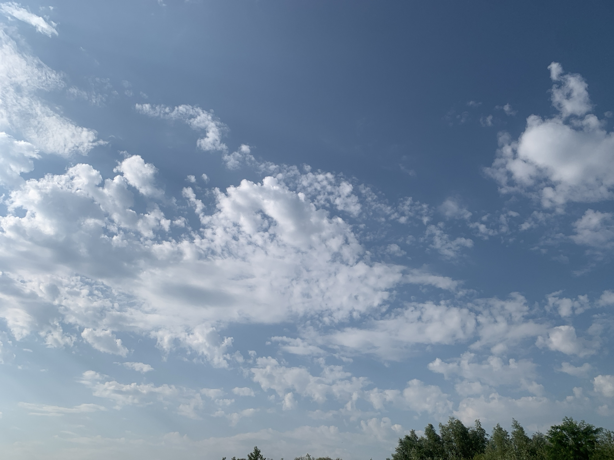 The image shows a wide shot of a blue sky filled with scattered white clouds. The clouds are varied in size and shape, with some appearing wispy and others more dense and puffy. Towards the bottom of the image, a line of green trees is visible, forming a horizon against the sky. The lighting suggests it is daytime, with the sun illuminating the clouds from above and to the left, creating shadows within them. The scene is outdoors, likely in a natural or semi-rural setting given the presence of trees. No people or specific structures are depicted, focusing solely on the sky and the treeline. The location is identified as Nyzhnii Verbizh, Ukraine.
