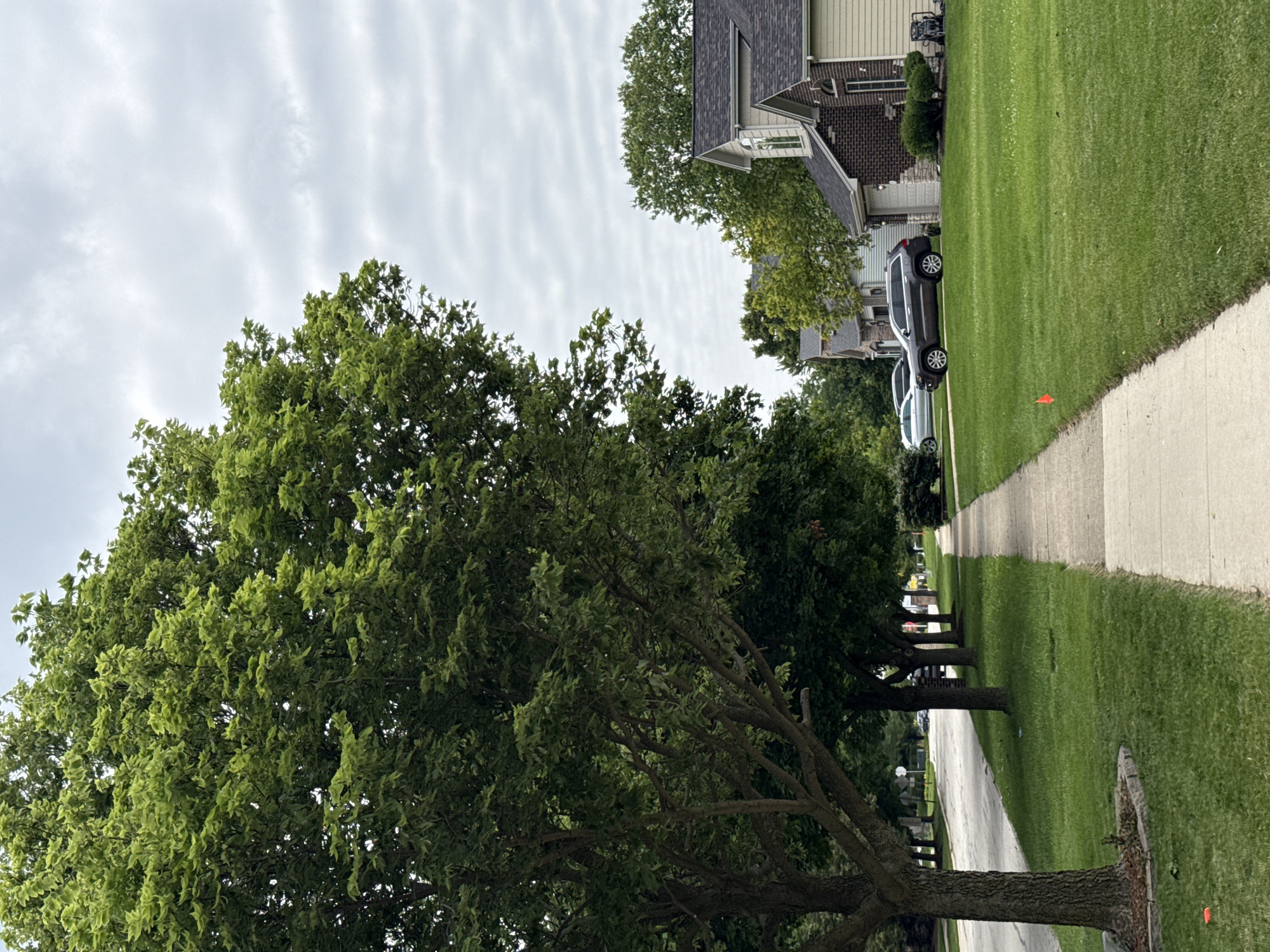The image depicts a suburban street scene in Bolingbrook, USA. The view is from a sidewalk looking down a street lined with manicured green lawns and mature trees. On the right side of the street, houses are visible, some with brick and siding exteriors. Parked cars, including a dark-colored SUV and a lighter sedan, are situated in driveways or along the street. On the left side of the street, more trees and the edge of a road are visible. The sky is overcast with textured, wavy clouds. The time of day appears to be daytime, possibly late morning or afternoon, given the lighting. The overall impression is one of a quiet, residential neighborhood on a cloudy day. There are no people visible in the frame. A small orange marker or flag is visible in the grass near the sidewalk.