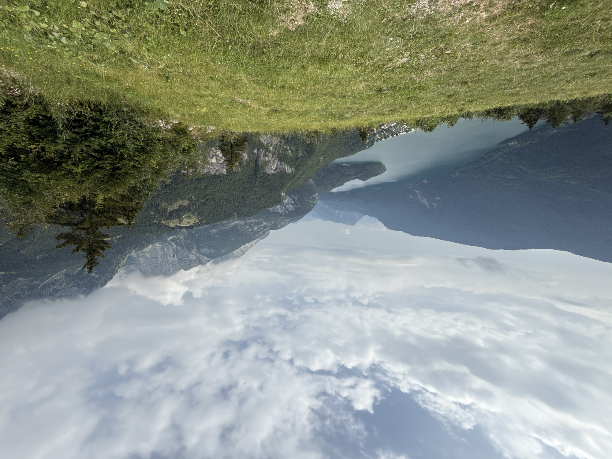 A wide-angle, panoramic view captures a mountainous landscape with a serene lake. The foreground features a grassy slope dotted with wildflowers and a few small shrubs. Beyond the slope, a vast, tranquil lake stretches into the distance, its surface reflecting the overcast sky. On the far side of the lake, a small town with buildings is nestled against the base of lush green mountains. Towering, rocky peaks, partially obscured by clouds, dominate the background, their rugged textures contrasting with the softer, verdant slopes below. A single evergreen tree stands prominently on the right side of the frame, adding a touch of verticality to the scene. The overall atmosphere is one of natural beauty and peacefulness. The location is identified as Molveno, Italy.