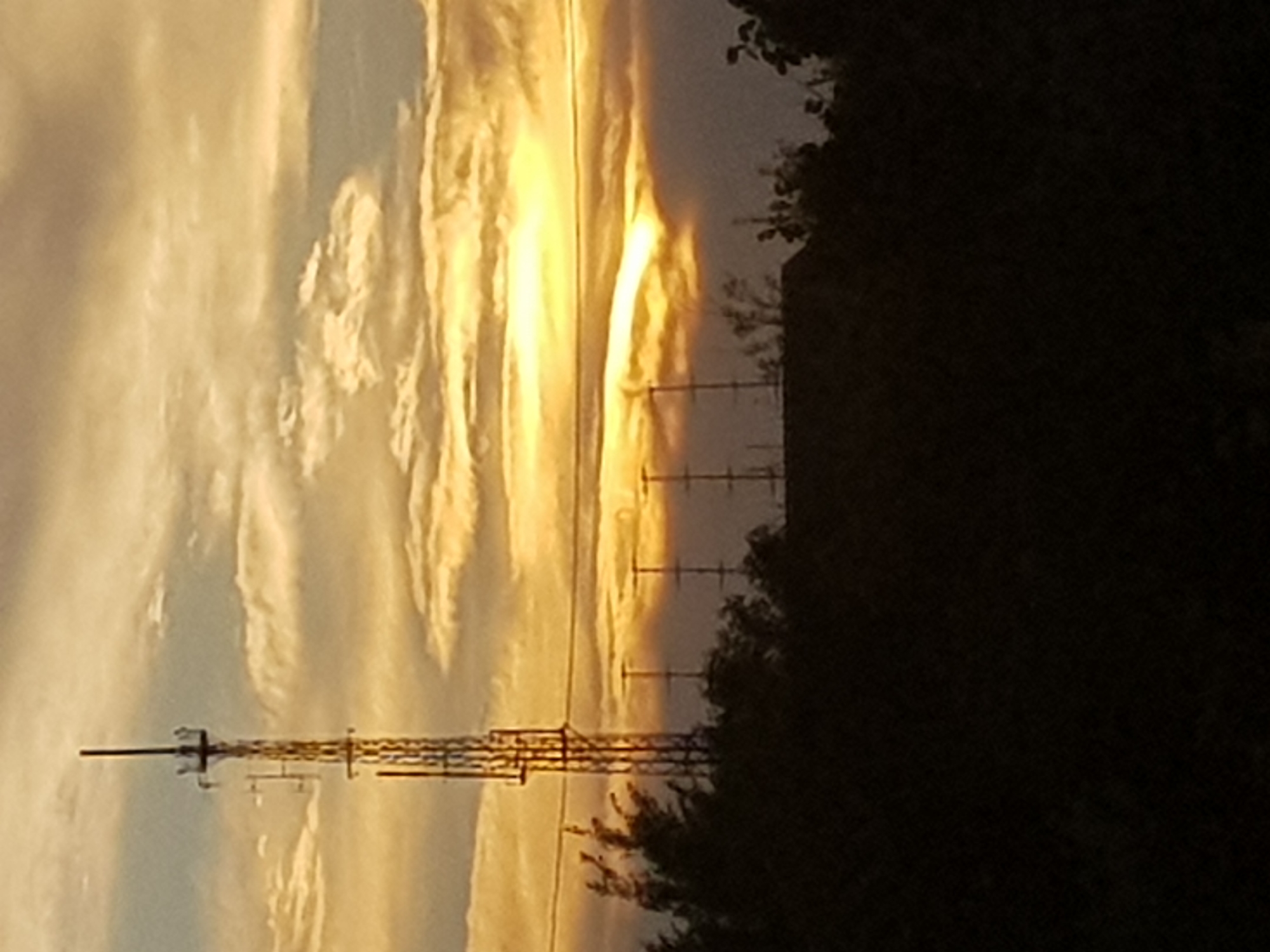 A telecommunication tower stands tall against a sunset sky filled with dramatic clouds. The sky transitions from a bright, sunlit yellow at the horizon to softer oranges and grays as it moves upwards. Several smaller antenna structures are visible in the midground, interspersed with silhouettes of trees and a dark building roofline. The foreground is entirely consumed by the dark silhouette of dense foliage. The scene appears to be an outdoor landscape in Kurchatov, Kazakhstan, possibly on the outskirts of the city.