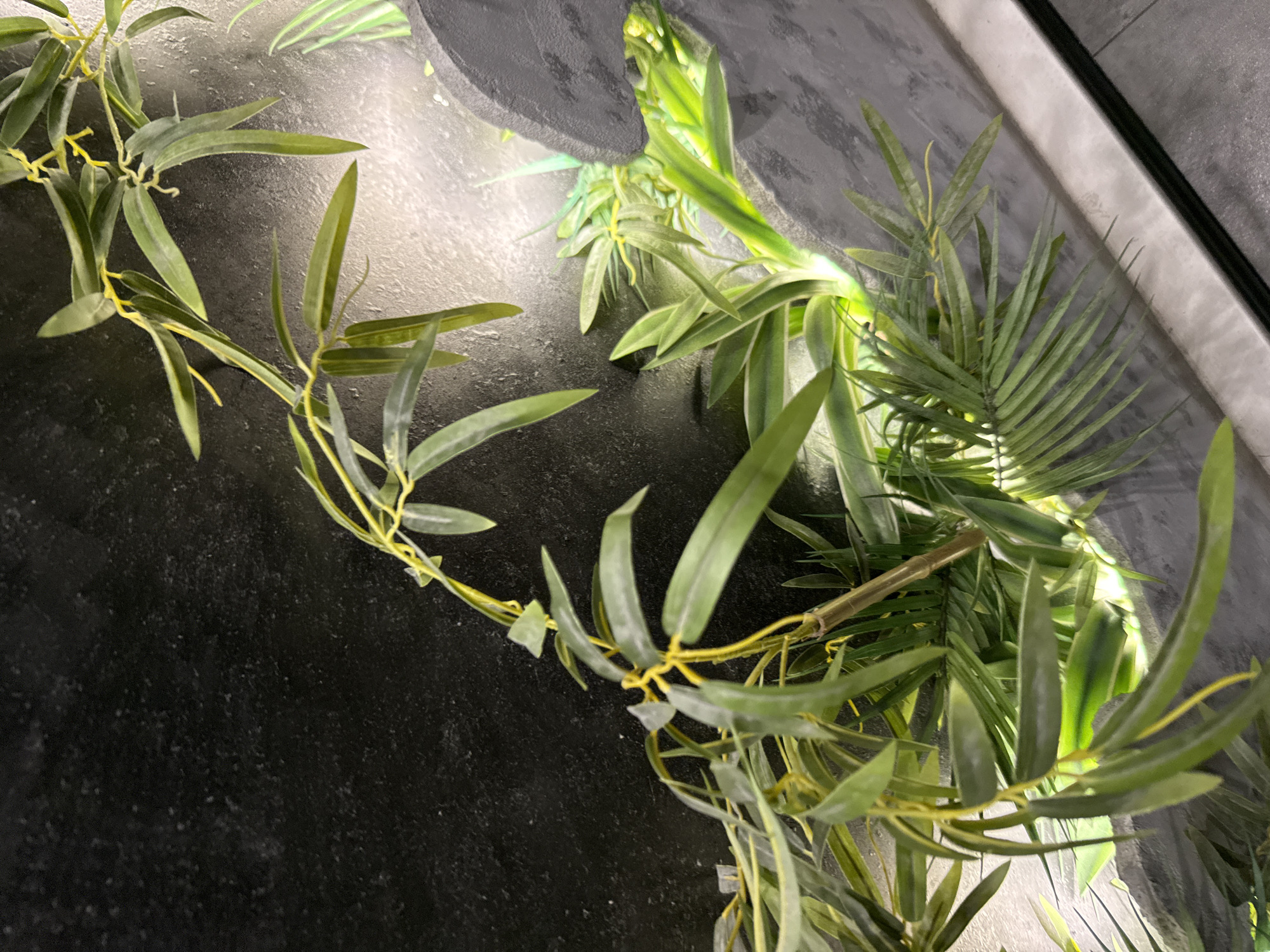 The image shows a close-up of artificial plants against a gray textured background. The plants have green leaves with yellow stems and some have a feathery palm-like appearance. The lighting is bright and focused on the plants. There is no indication of the city of Sofia, Bulgaria, or any people, actions, or interactions in the scene.