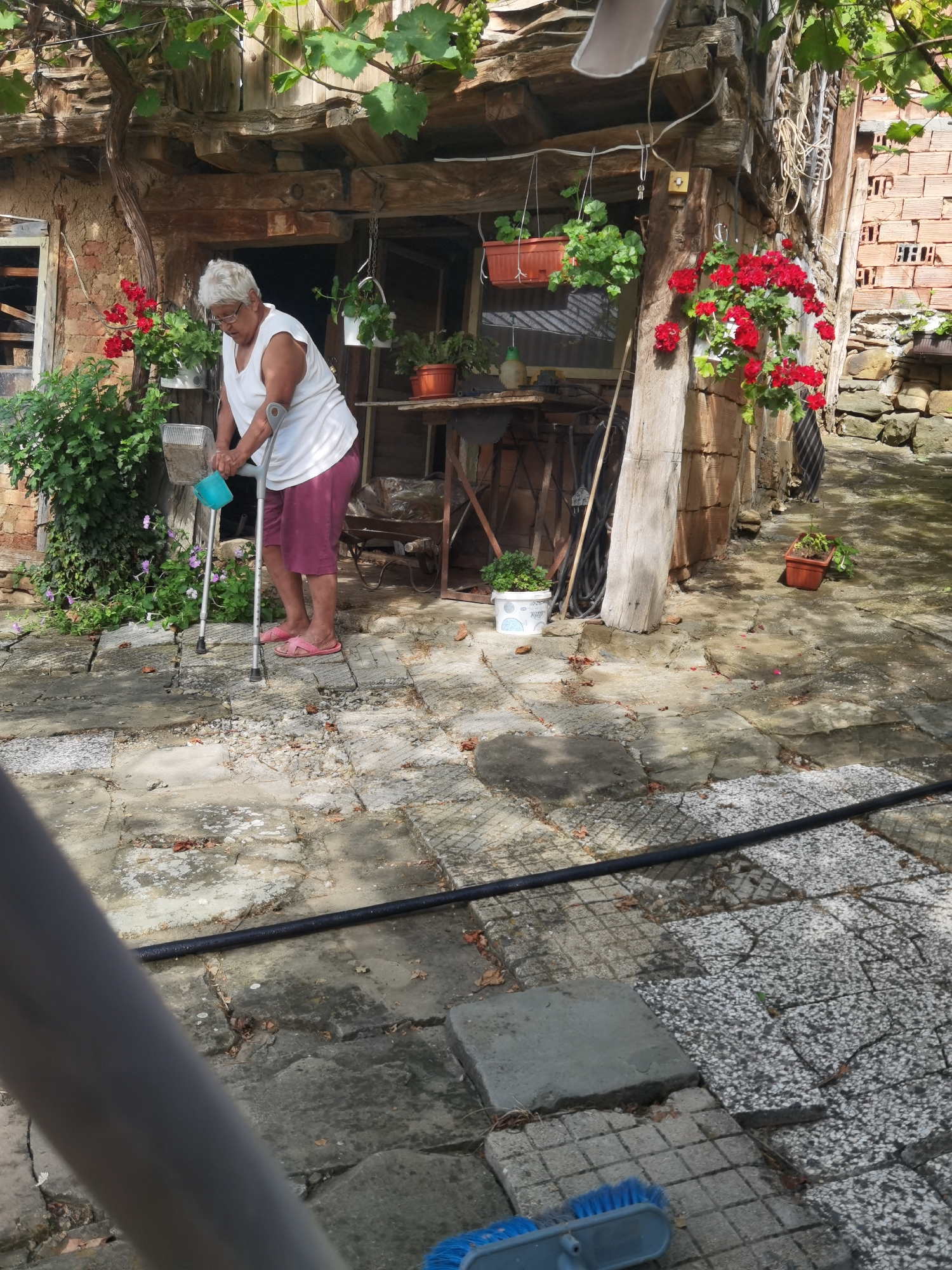 An elderly woman with white hair, wearing glasses, a white sleeveless top, and pink shorts, is standing in a yard in Lomets, Bulgaria, using forearm crutches. She is leaning forward, holding a blue plastic cup, and appears to be tending to something near the ground. The yard is paved with stone slabs and has areas of gravel. In the background, there is a rustic, weathered structure with a wooden roof and brick walls, adorned with hanging plants and red flowers. A garden hose lies on the ground, and a blue-bristled brush is visible in the foreground. The scene suggests a casual, outdoor activity in a rural or semi-rural setting.