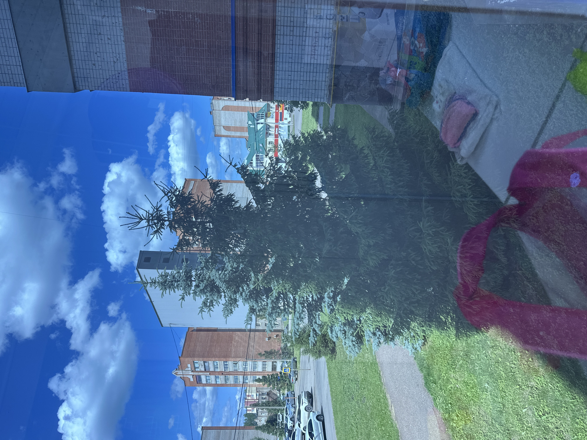 The image, taken from a window, shows a residential area in Mariinsky, Russia, on a sunny day with a bright blue sky and scattered white clouds. In the foreground, a large evergreen tree partially obscures the view. Beyond the tree, a paved walkway and a patch of green grass are visible, with several parked cars on the street. Residential buildings, including multi-story apartment complexes, are present in the background, some with brick facades and others with light-colored siding. A building with a green roof and arched windows is also visible in the distance. The window itself shows some reflections, including a pink object in the bottom left corner and a white surface with some items on it to the right.